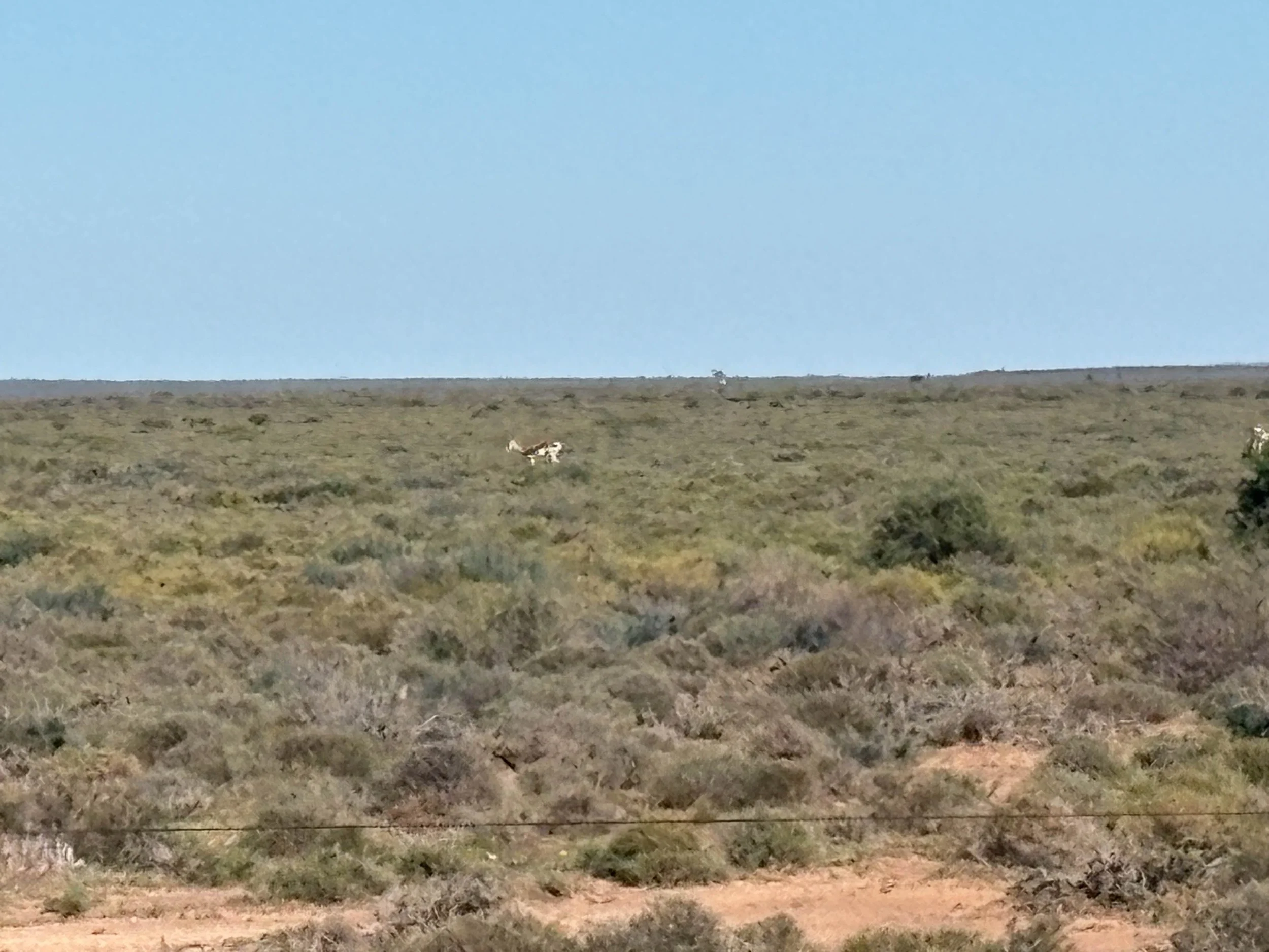 Photo 14-05-2025, 11 04 38.jpg