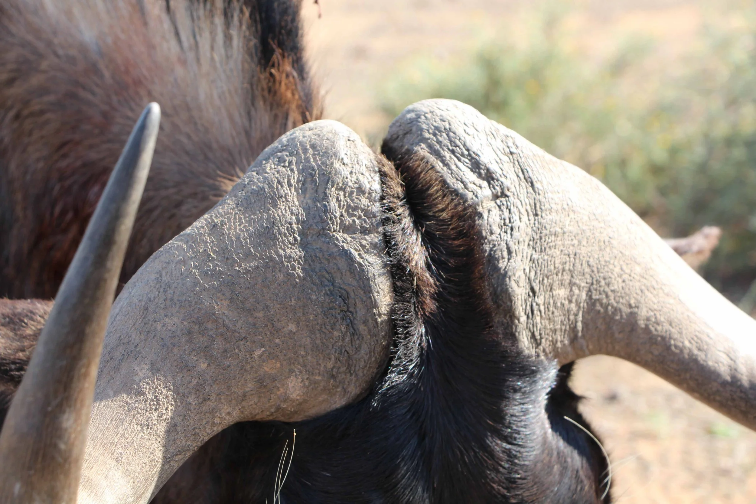 Photo 17-05-2025, 12 53 48.jpg