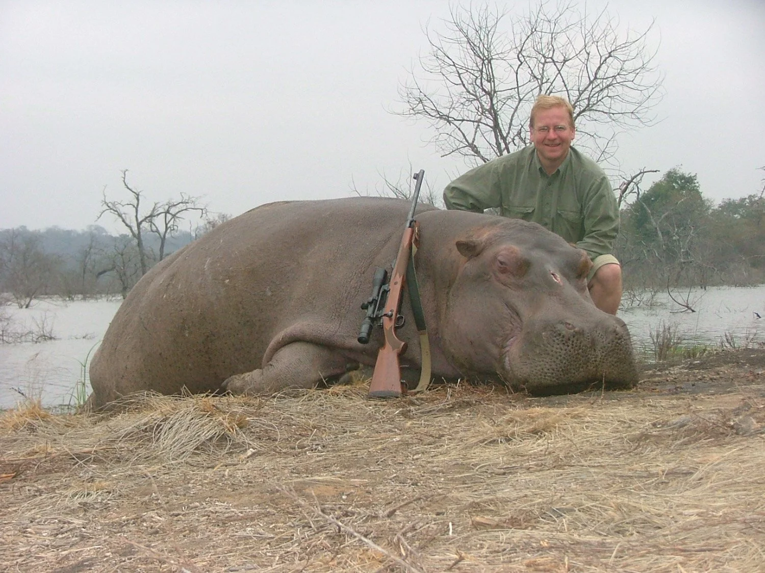 Hippo1.jpg (Copy) (Copy) (Copy)