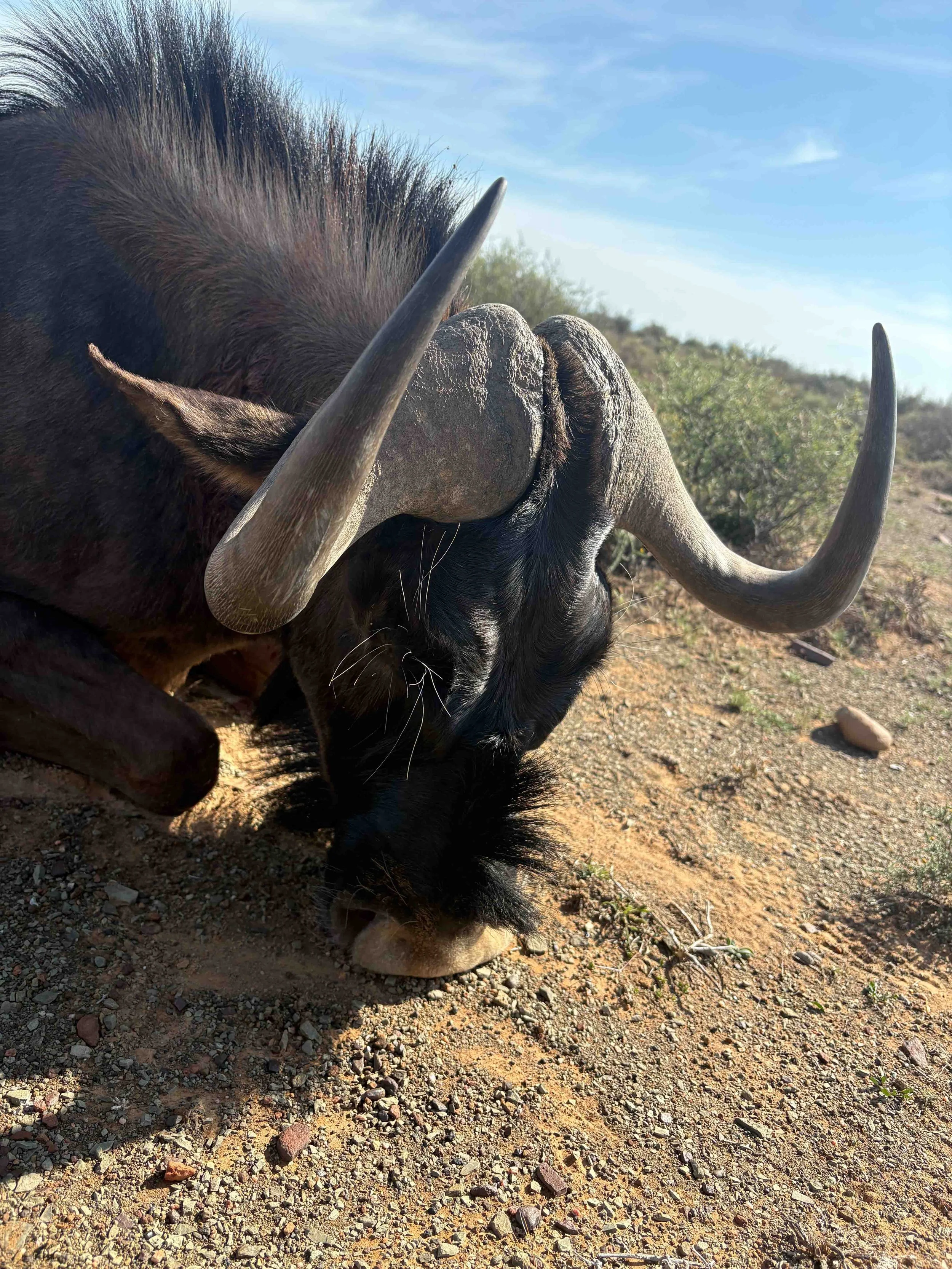 Photo 17-05-2025, 11 54 58.jpg