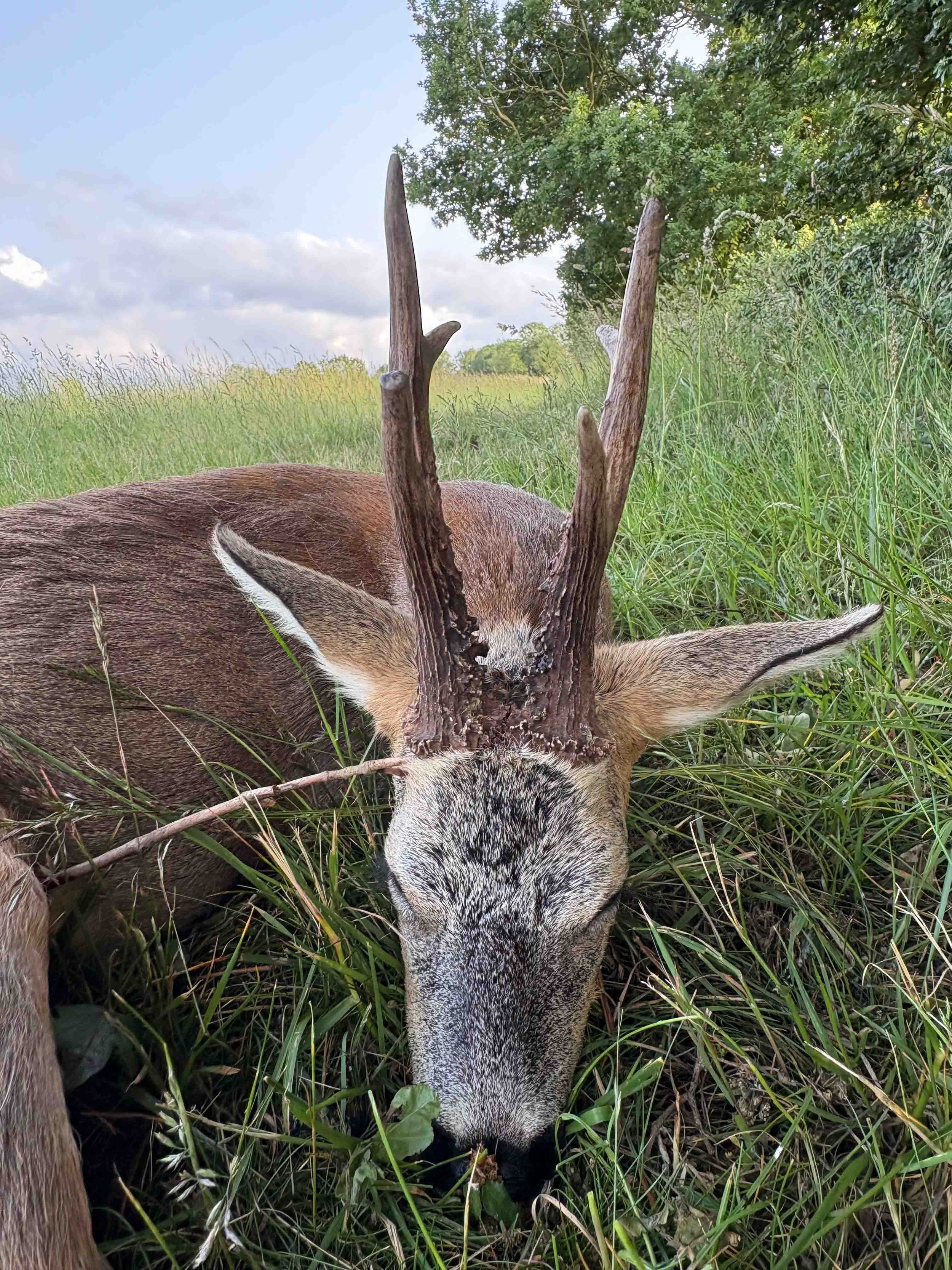 Photo 03-06-2025, 19 09 40.jpg