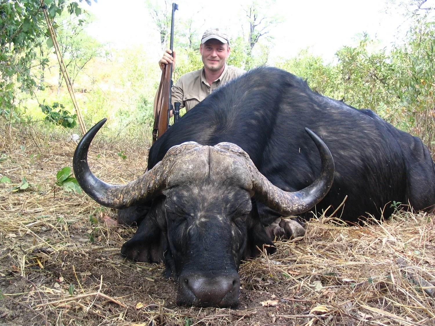 Cape Buffalo.jpg