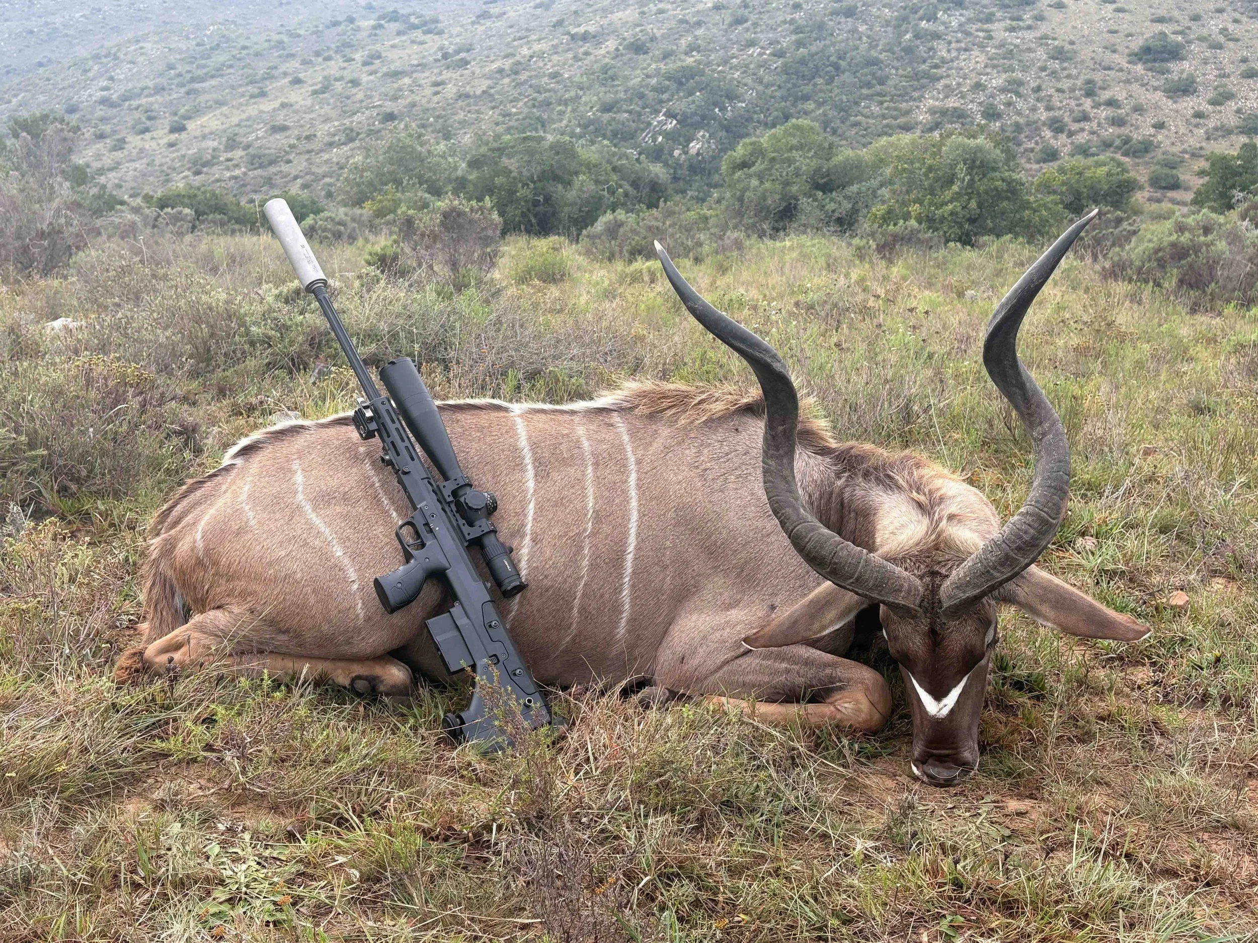 Premium Trophy Experience