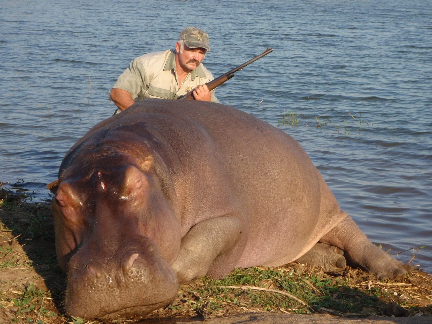 Hippo.jpg (Copy) (Copy) (Copy)