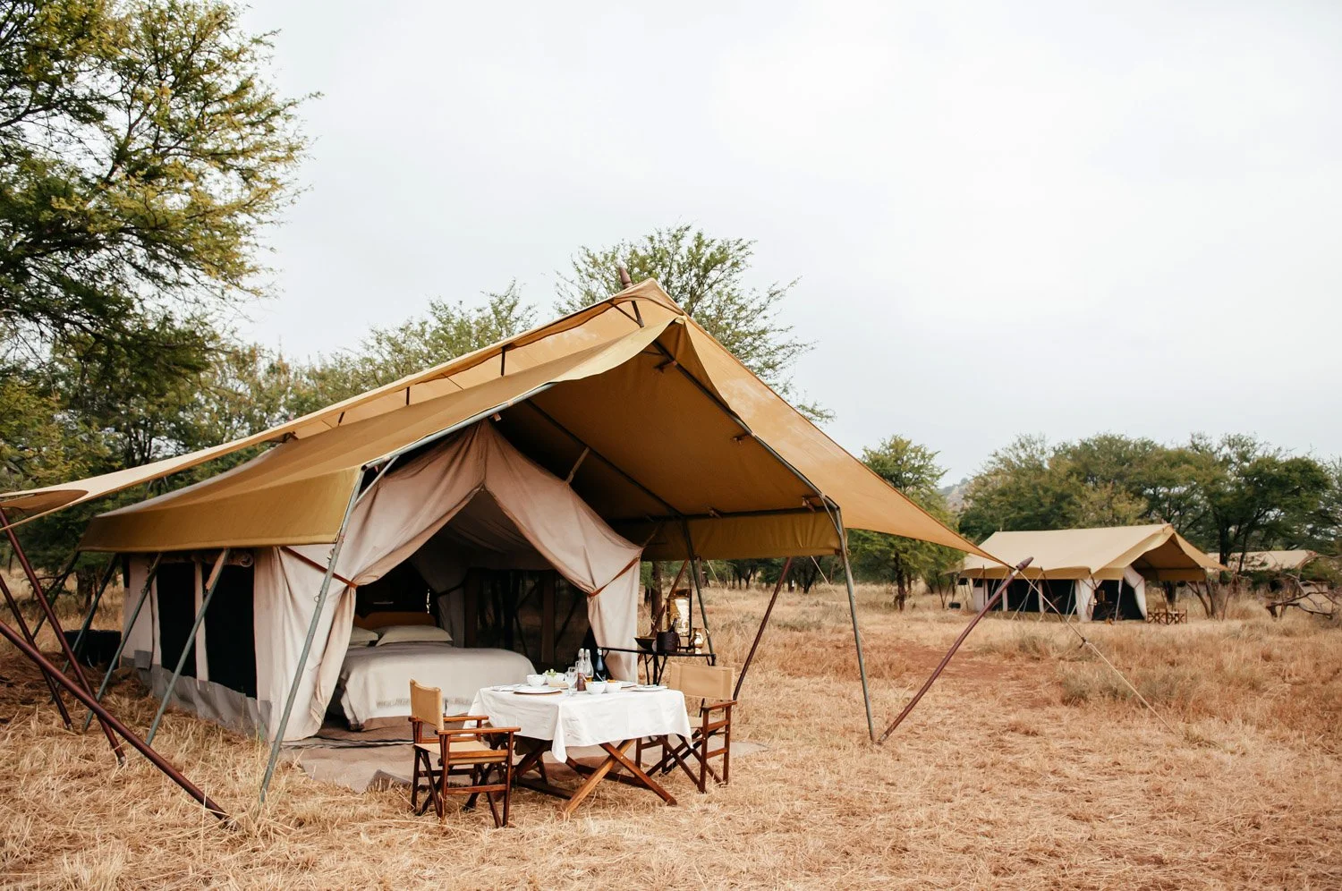 Kubusi Bush 19.30.18.jpg