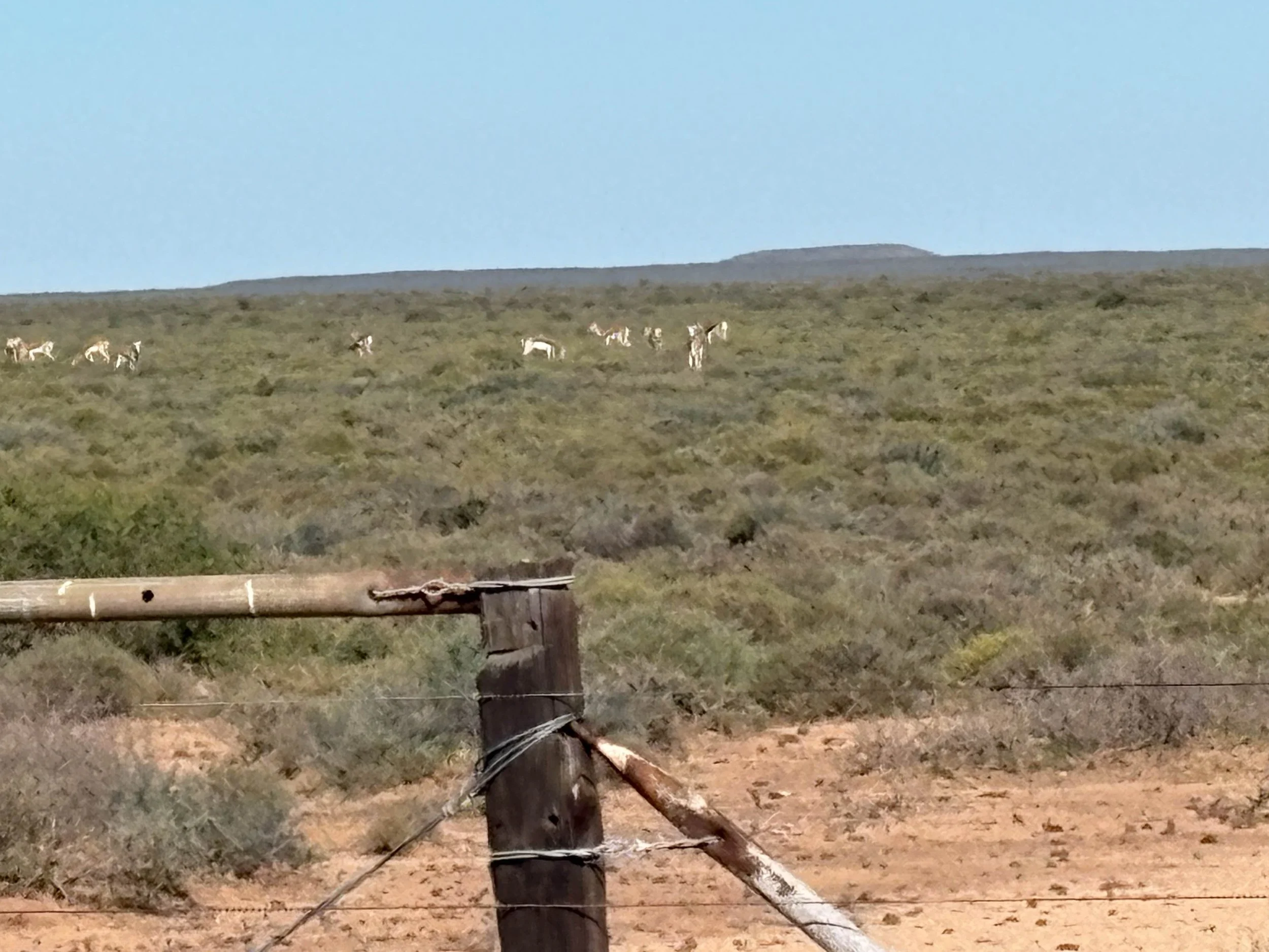 Photo 14-05-2025, 11 04 34.jpg