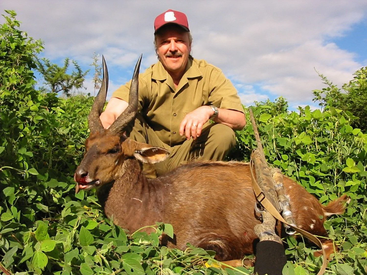 Kubusi 'Culling week'