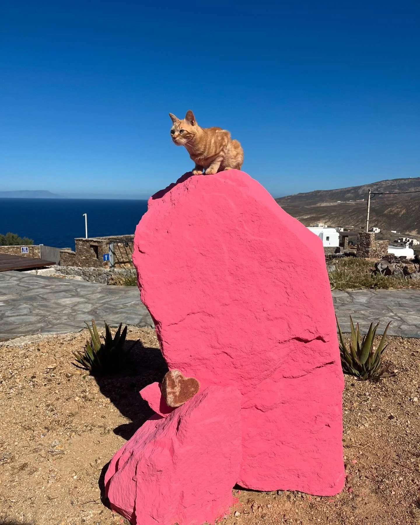 Souvlaki on Kaya's rock 

#mykonos #oldmykonos #ranchokaya #architechture #islandlife