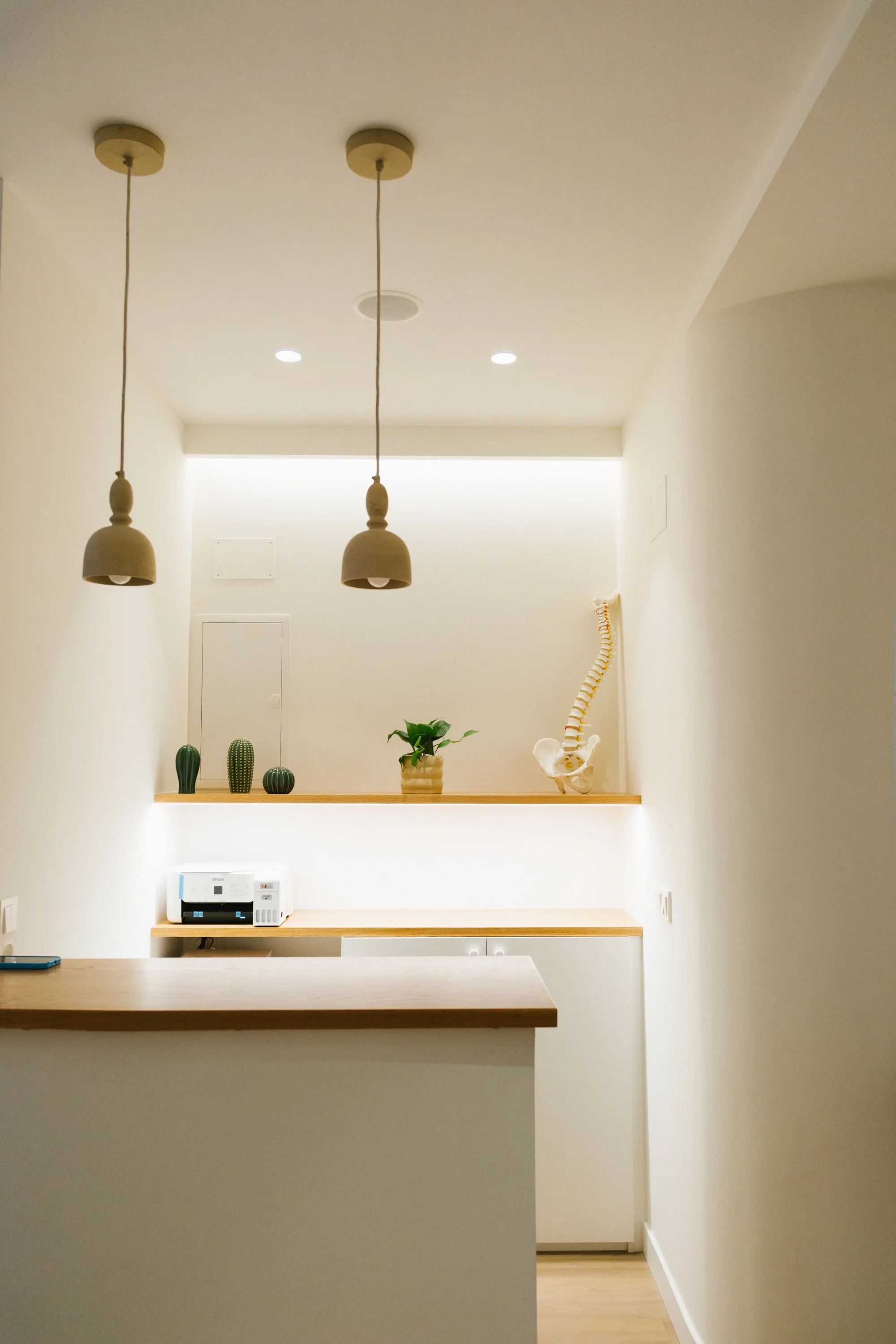 Vista del interior de una cocina minimalista con paredes blancas, tres lámparas colgantes beige, plantas en macetas y un esqueleto de columna vertebral en una repisa.
