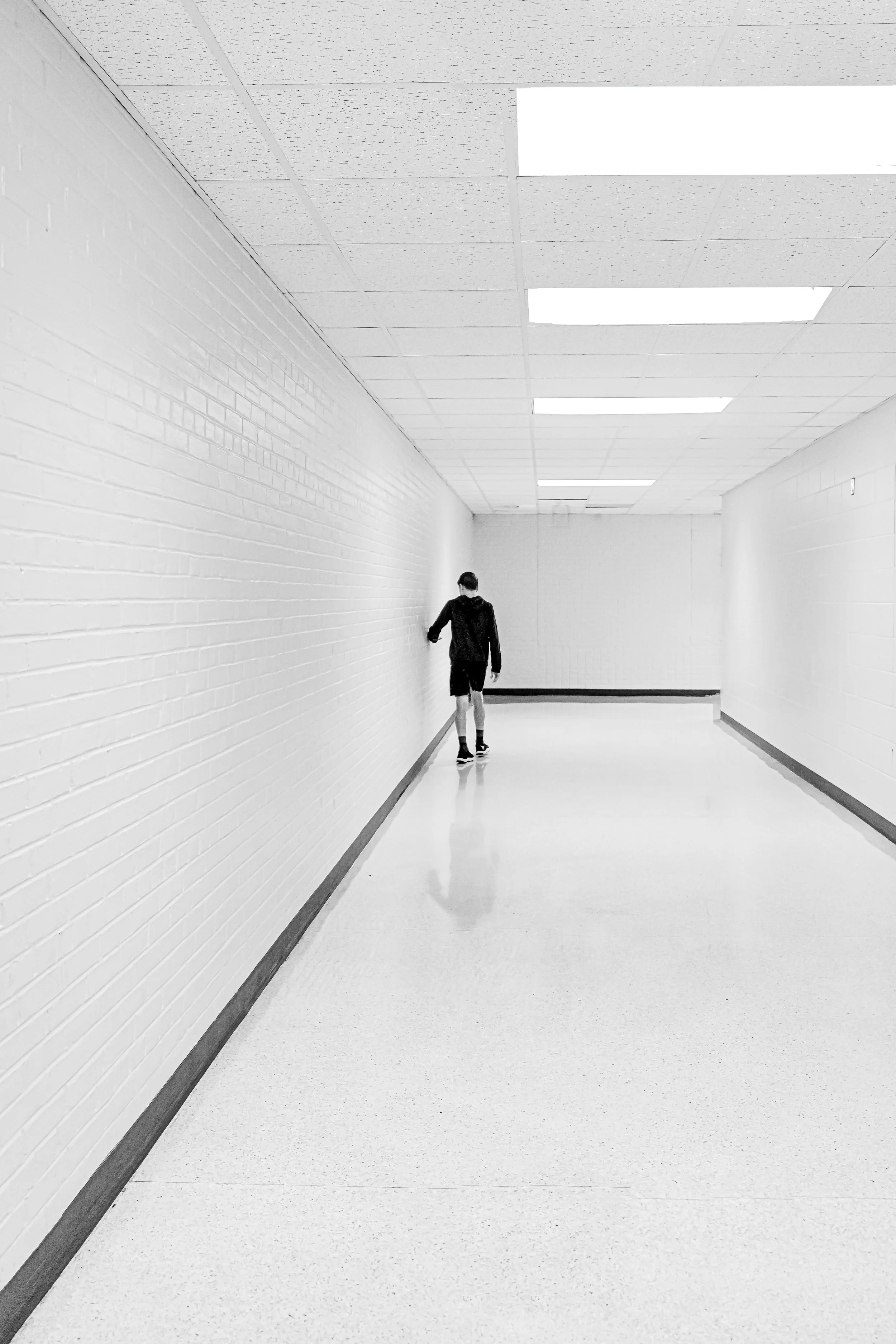 Adult outcomes after childhood CSWS and Landau–Kleffner Syndrome