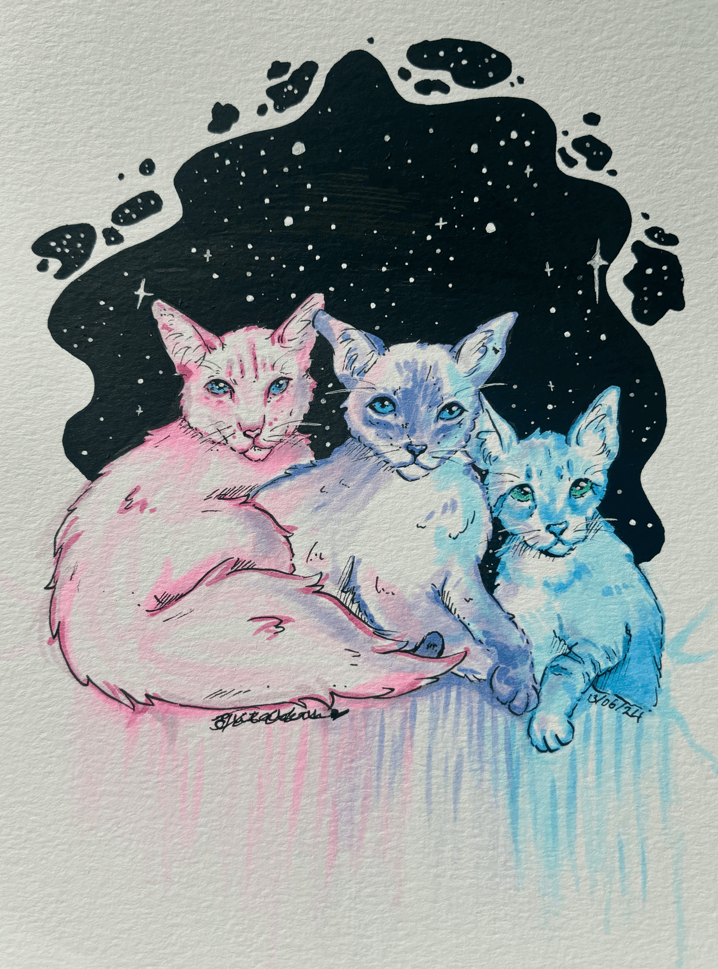 Watercolor illustration of three cats with a starry night sky background painted in black and white, featuring pink, gray, and blue cats.