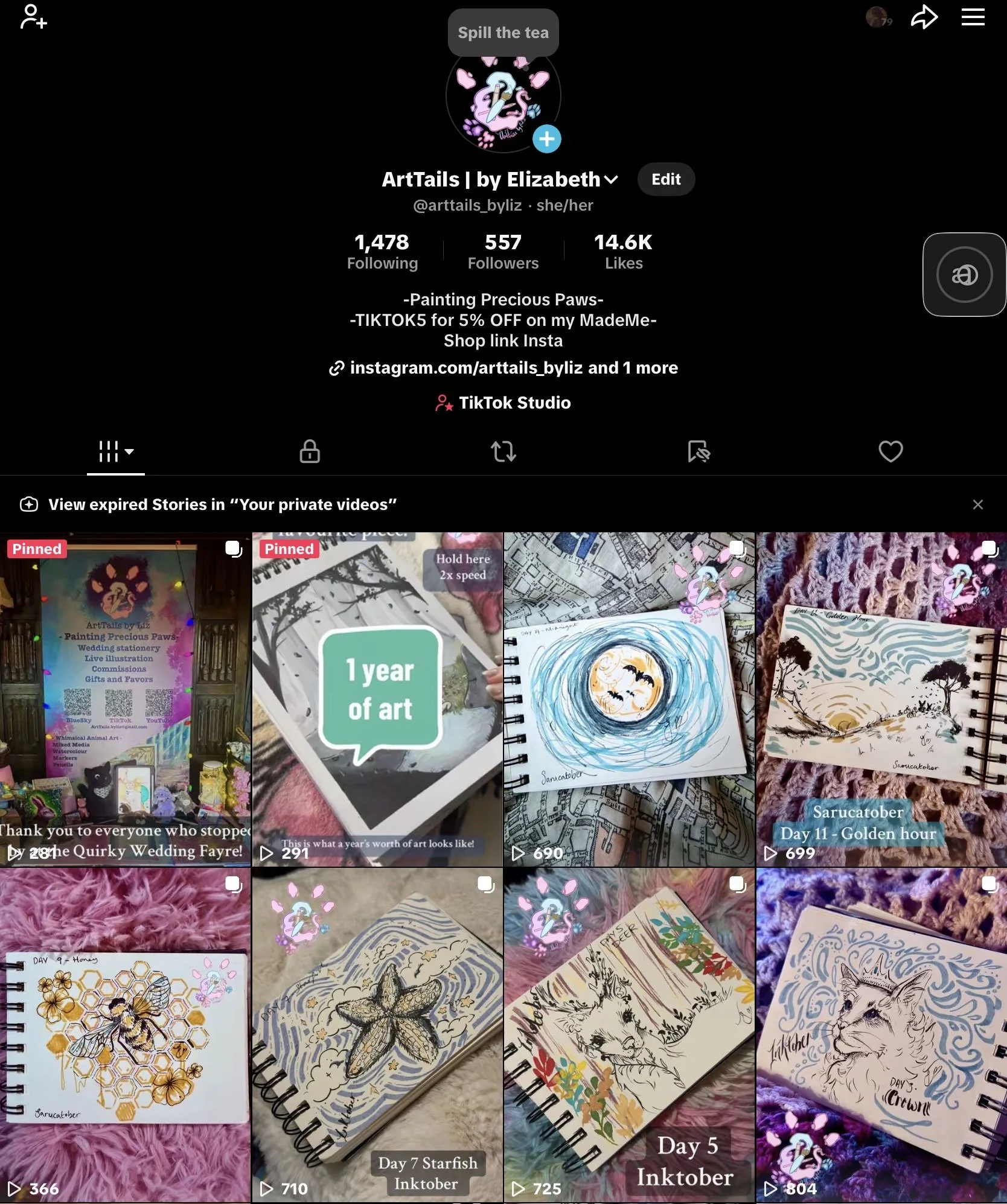 A TikTok profile page for ArtTails by Elizabeth featuring drawings of animals and nature, including starfish, a lion, and a wolf, along with various art-related captions and videos.
