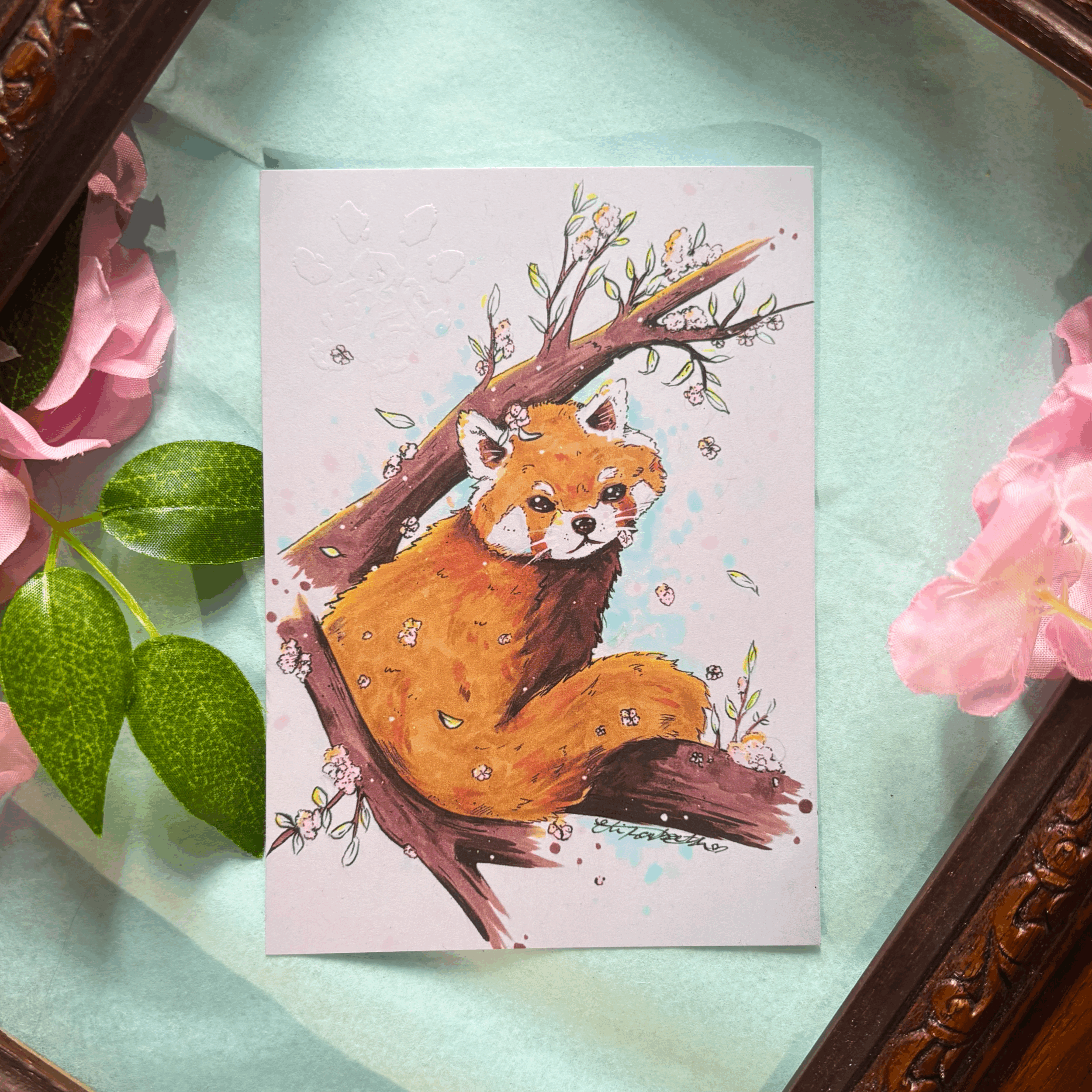 Red Panda Postcard