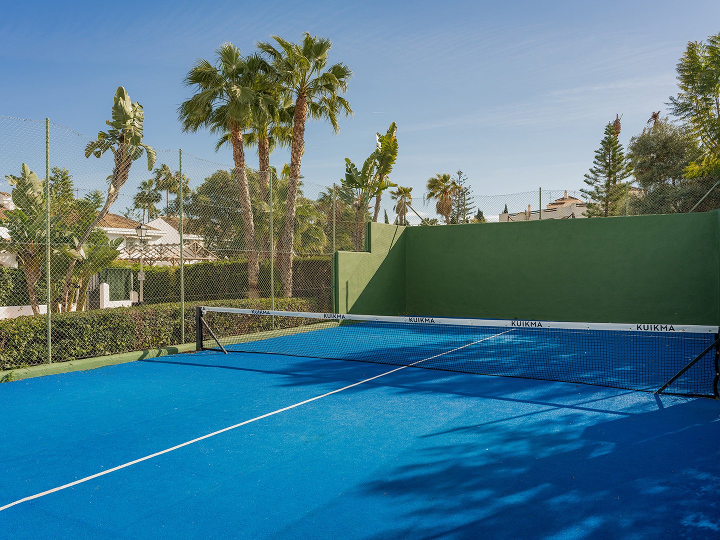 Callum Swan Las Petunias 13 WEB-52 copy.jpg