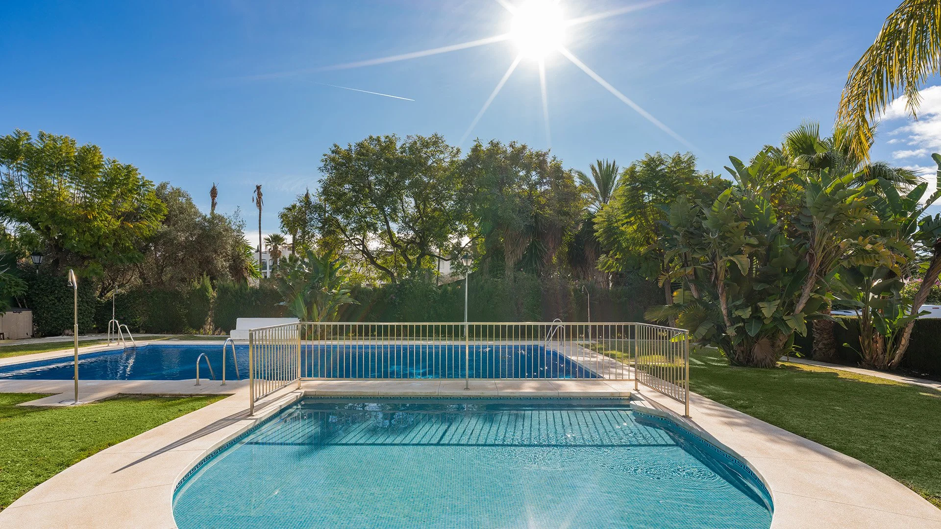 Callum Swan Las Petunias 13 WEB-1 copy.jpg