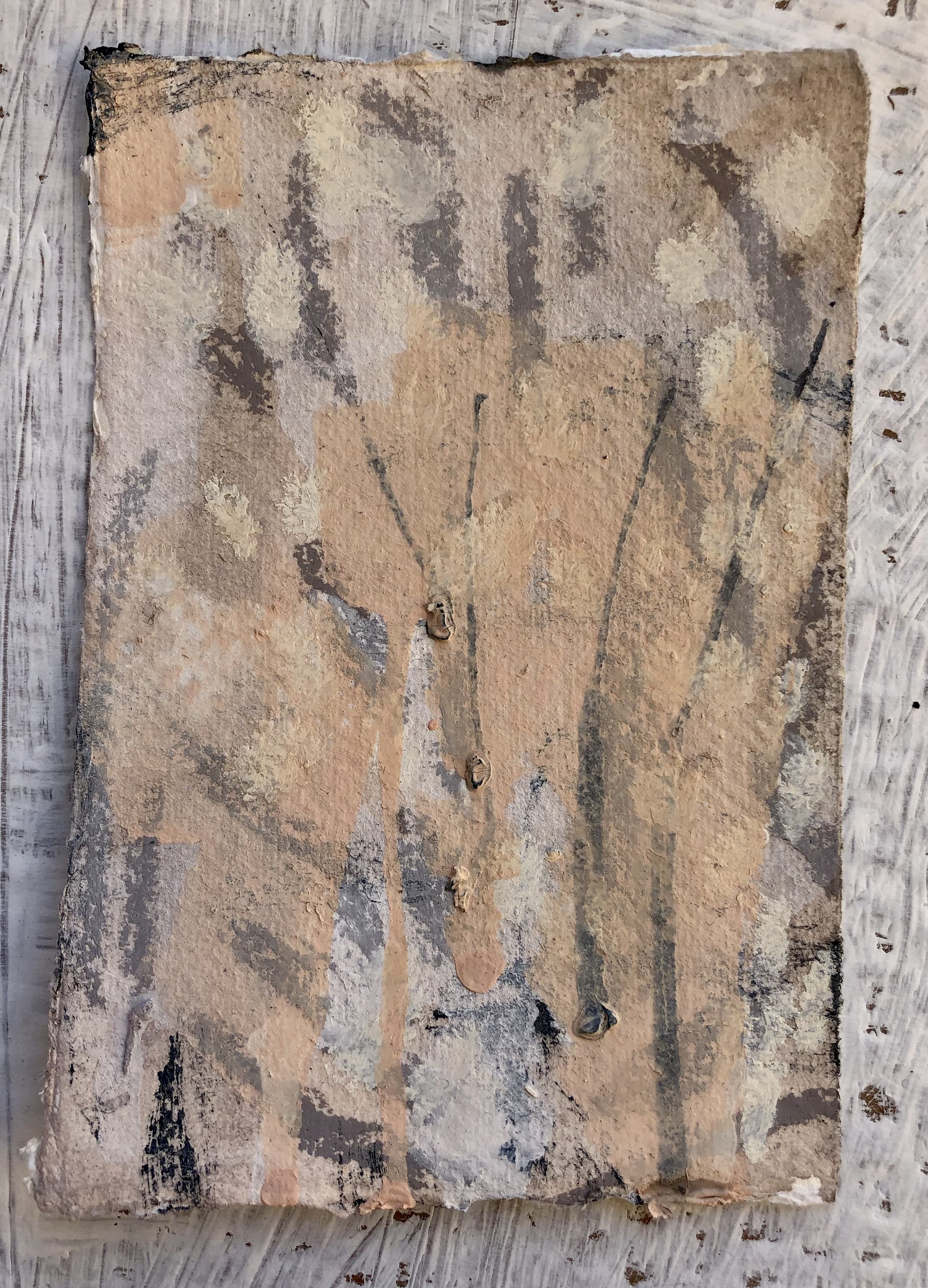 Dwell Against the Veil