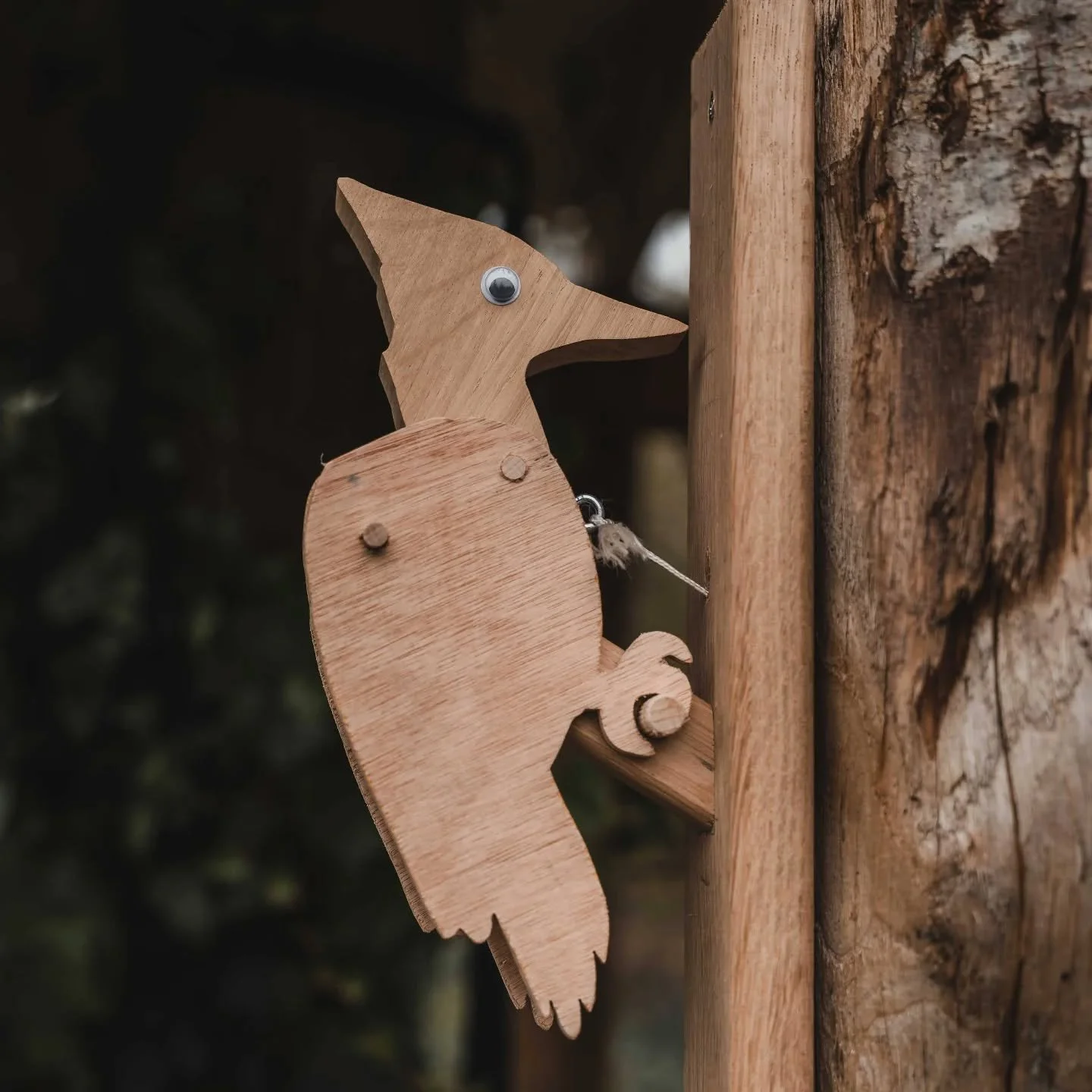 "Je moet toktokken om binnen te komen in mijn boomhut"
Otis, 4 jaar

#boomleven #boombazen #boomhut #bouweninhetgroen #houtbouw