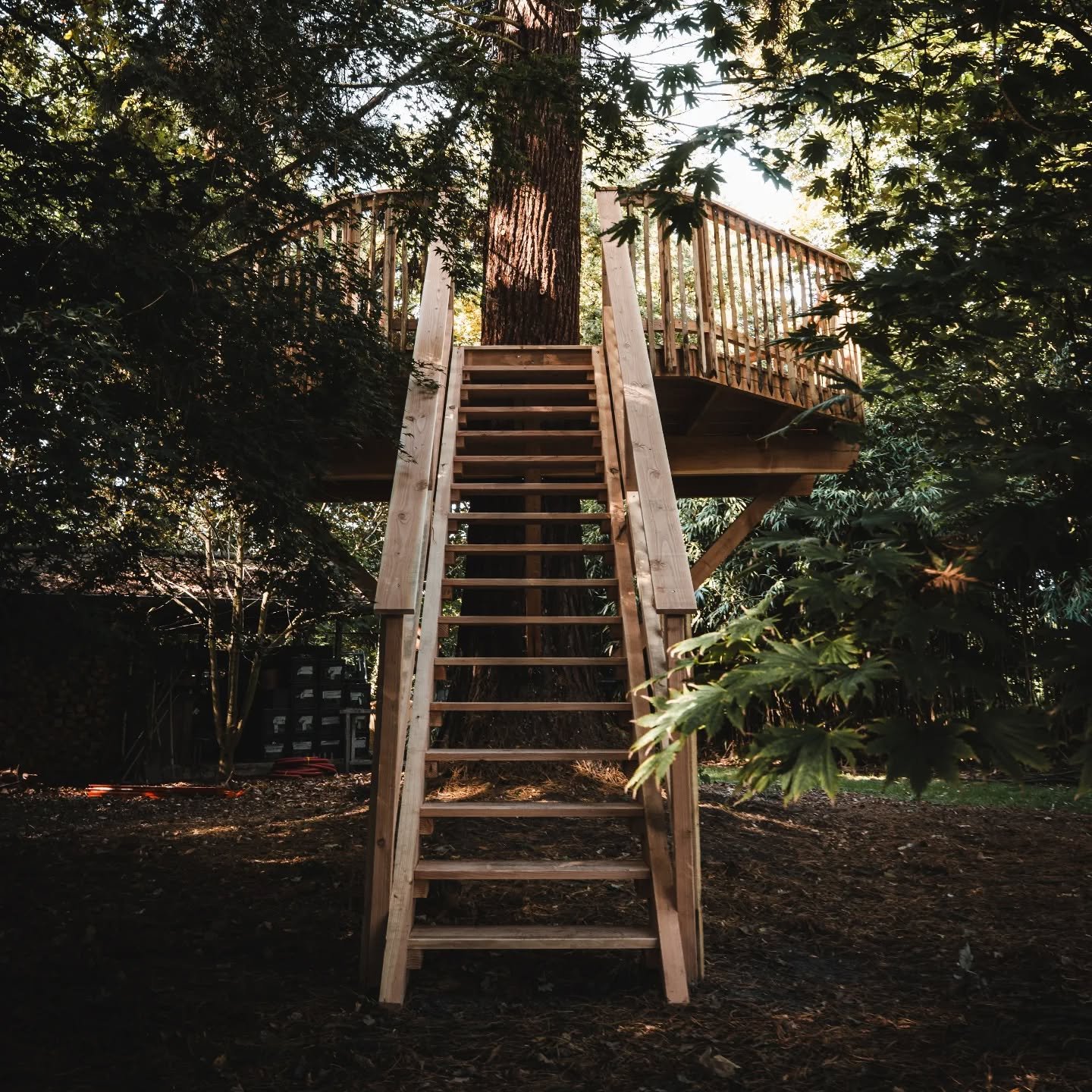 Wij bouwen natuurlijke, speelse plekken waar kinderen (en volwassenen) hun fantasie de vrije loop kunnen laten. Elke hut is uniek, groeit mee met de natuur en is gebouwd met liefde, lef en een glimlach. En als er een plank scheef zit? Dan noemen we d