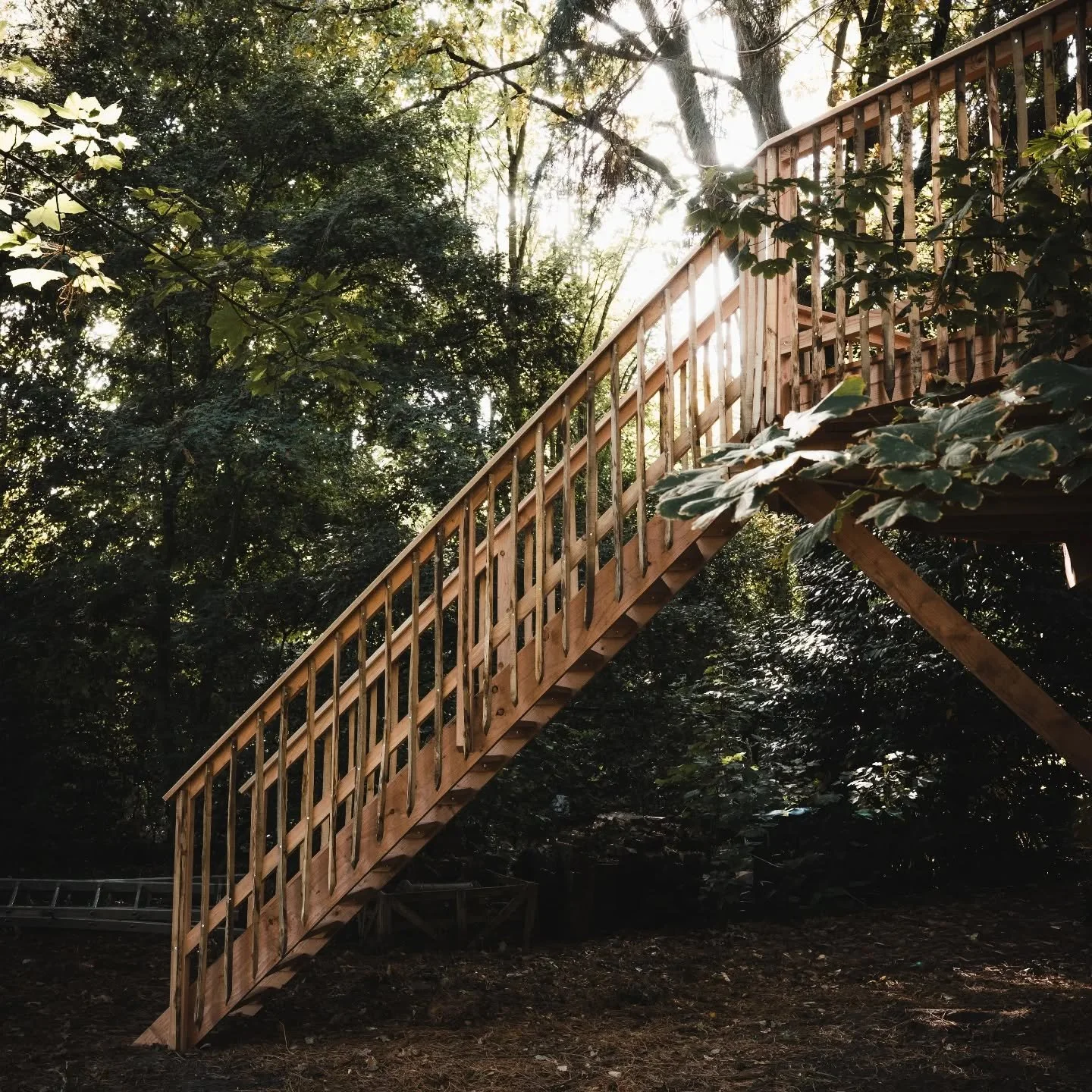 Een trap naar het mooiste uitzicht van de tuin 🤩
#boomleven #boomhut #boomhut #bouweninhetgroen #boomplatform