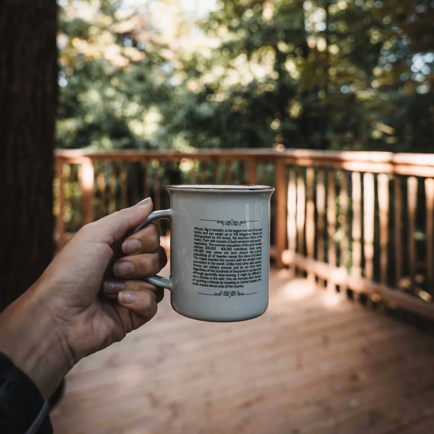 Koffietje op het boomplatform? Ewelja! ☕🌲

#boombazen #boomplatform #koffiemomentje #bouweninhetgroen #boomhut