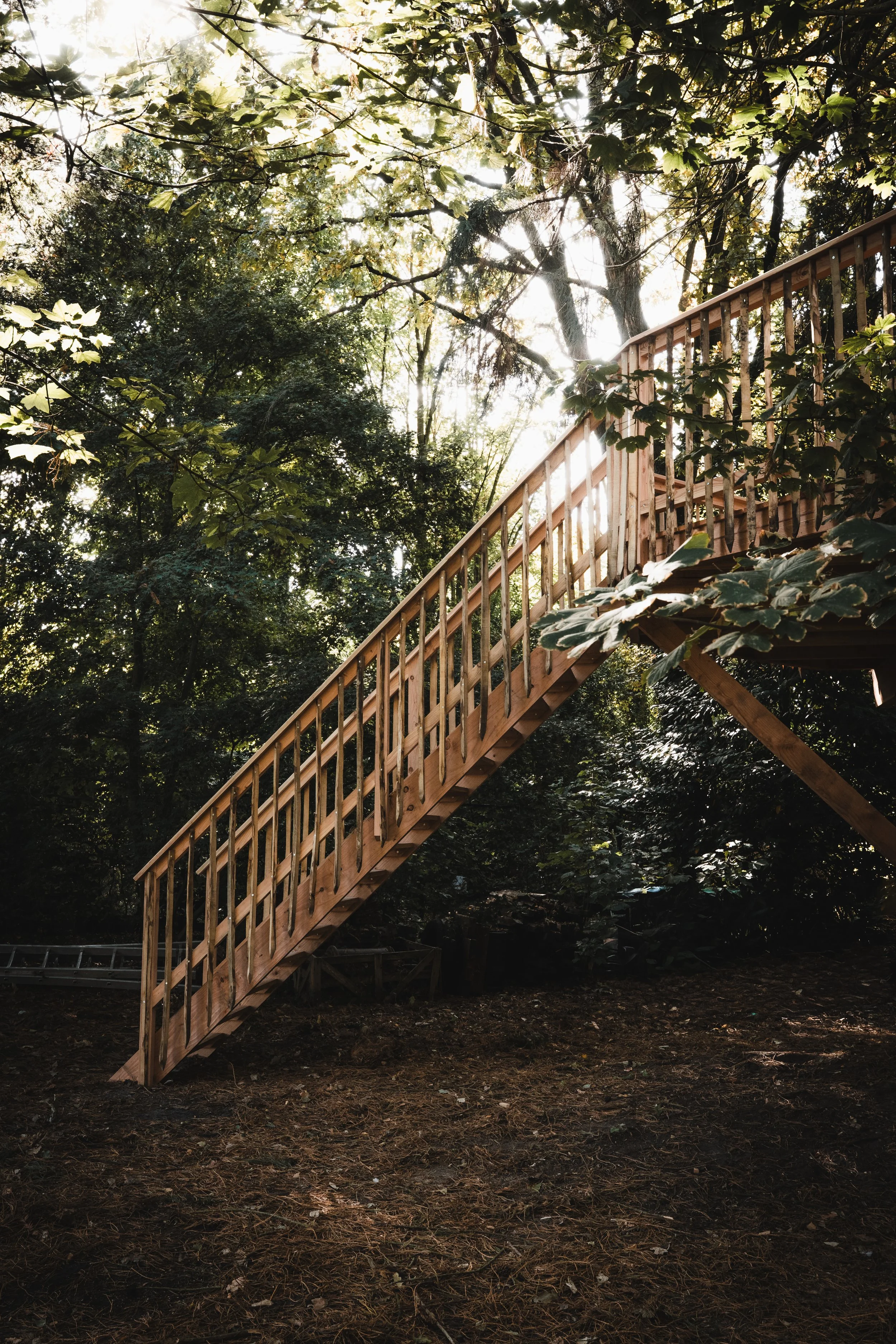 Een houten trap leidt omhoog door een bosrijk gebied waar zonlicht door de bomen filtert.
