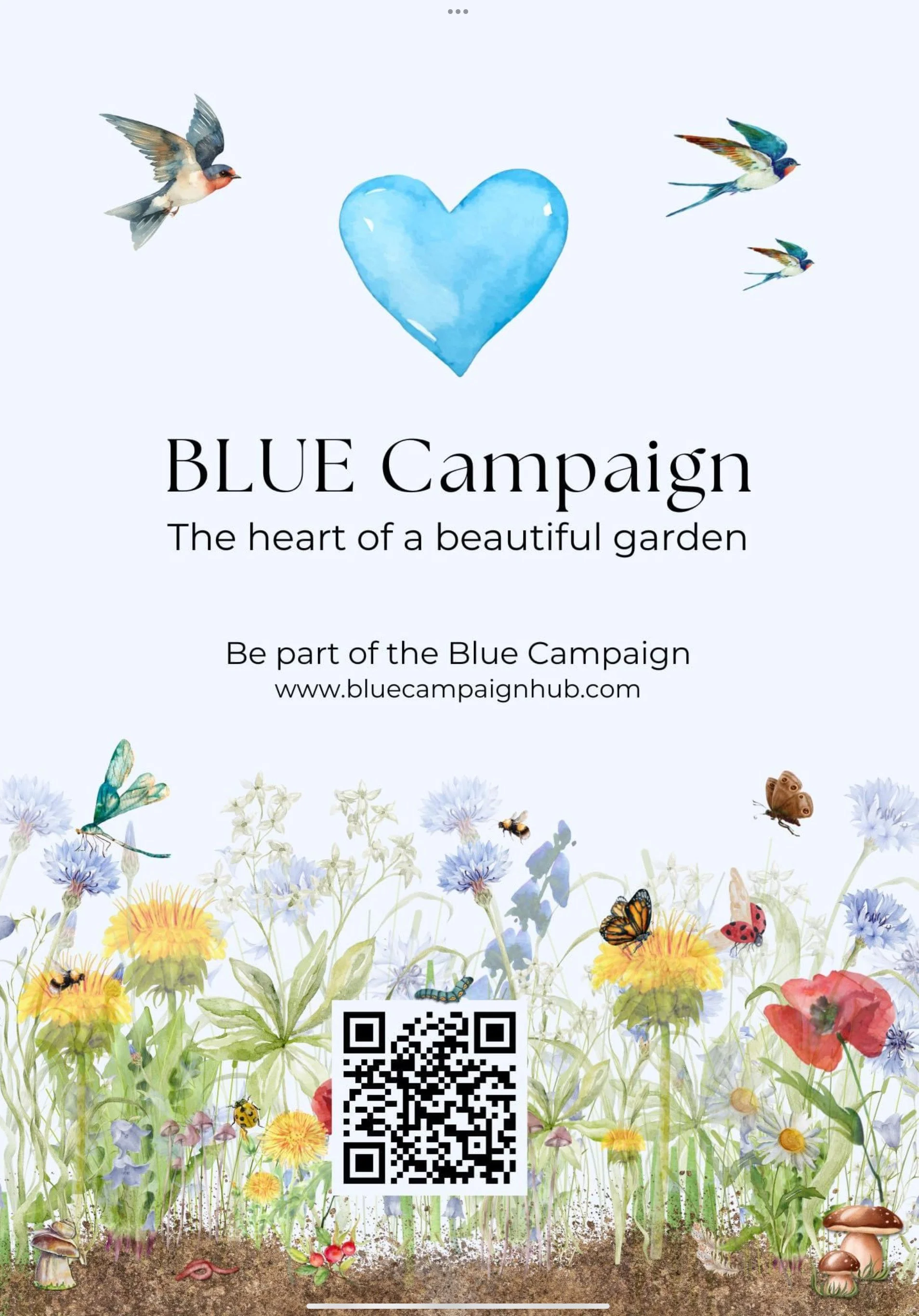 A screenshot of a poster I created for the Blue Campaign - I project managed the entire piece, working with a graphic designer to bring the visuals to life