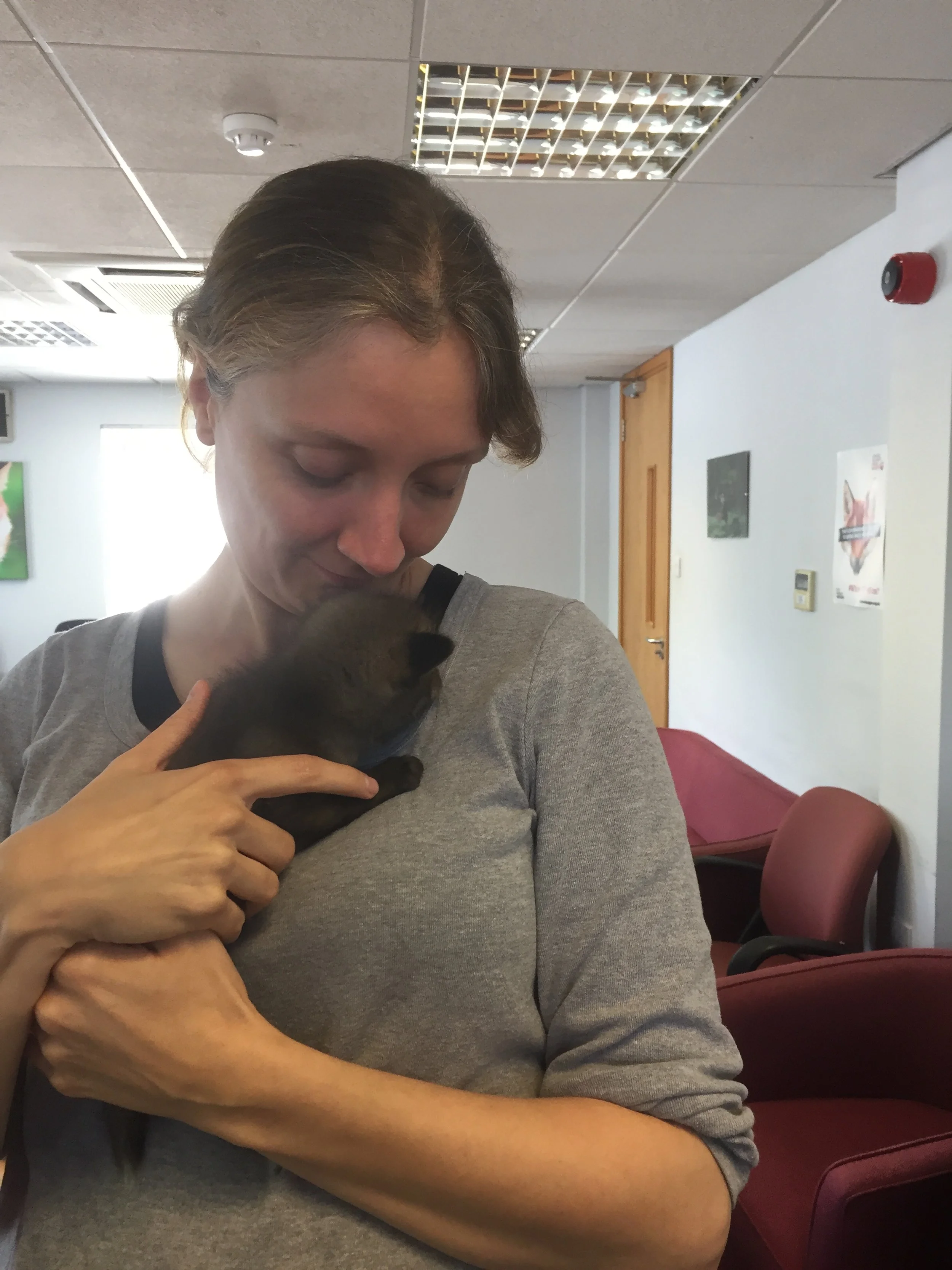 Amanda with a fox cub at the League Against Cruel Sports
