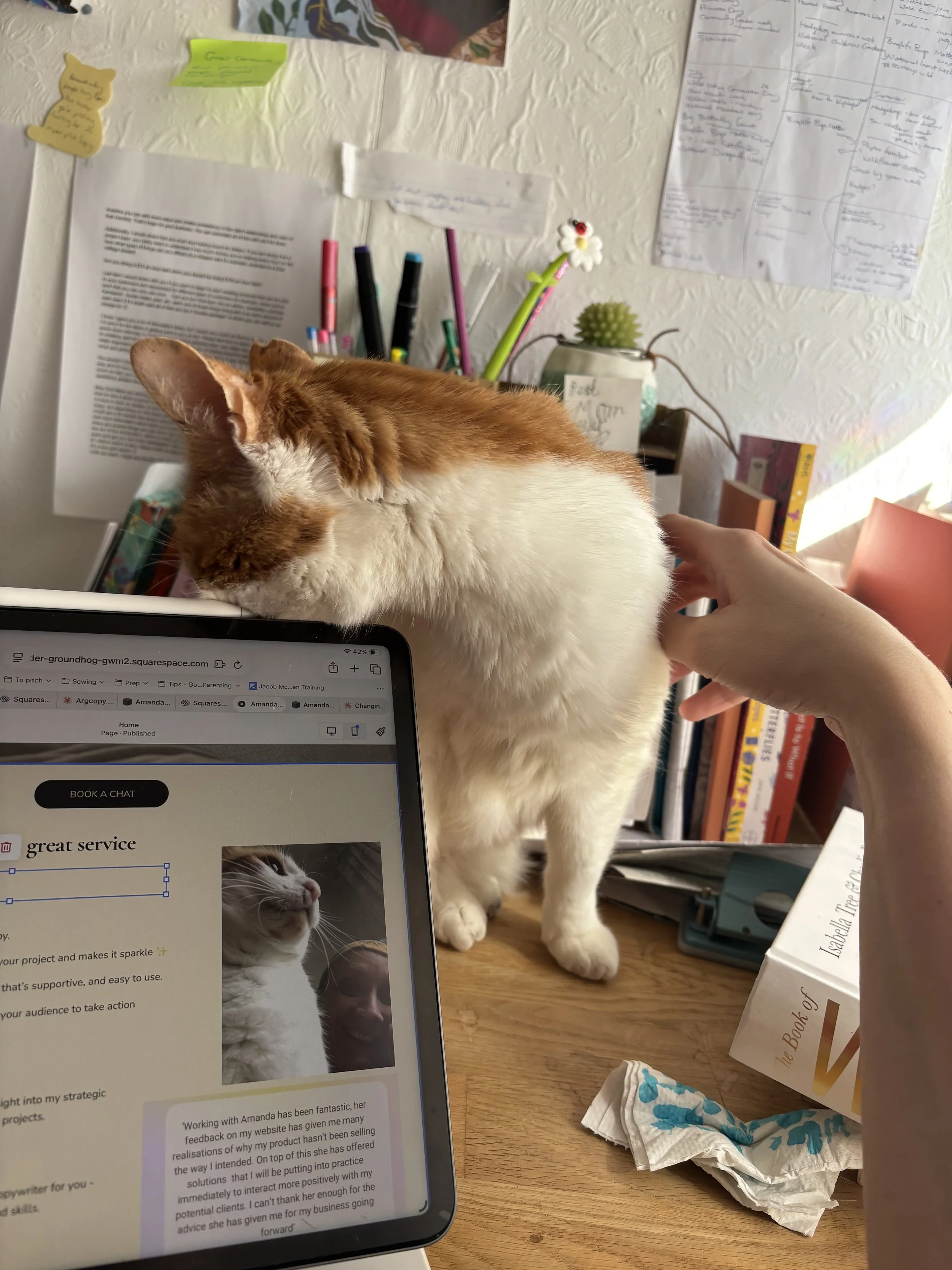 Ginger rubbing his head on my office laptop
