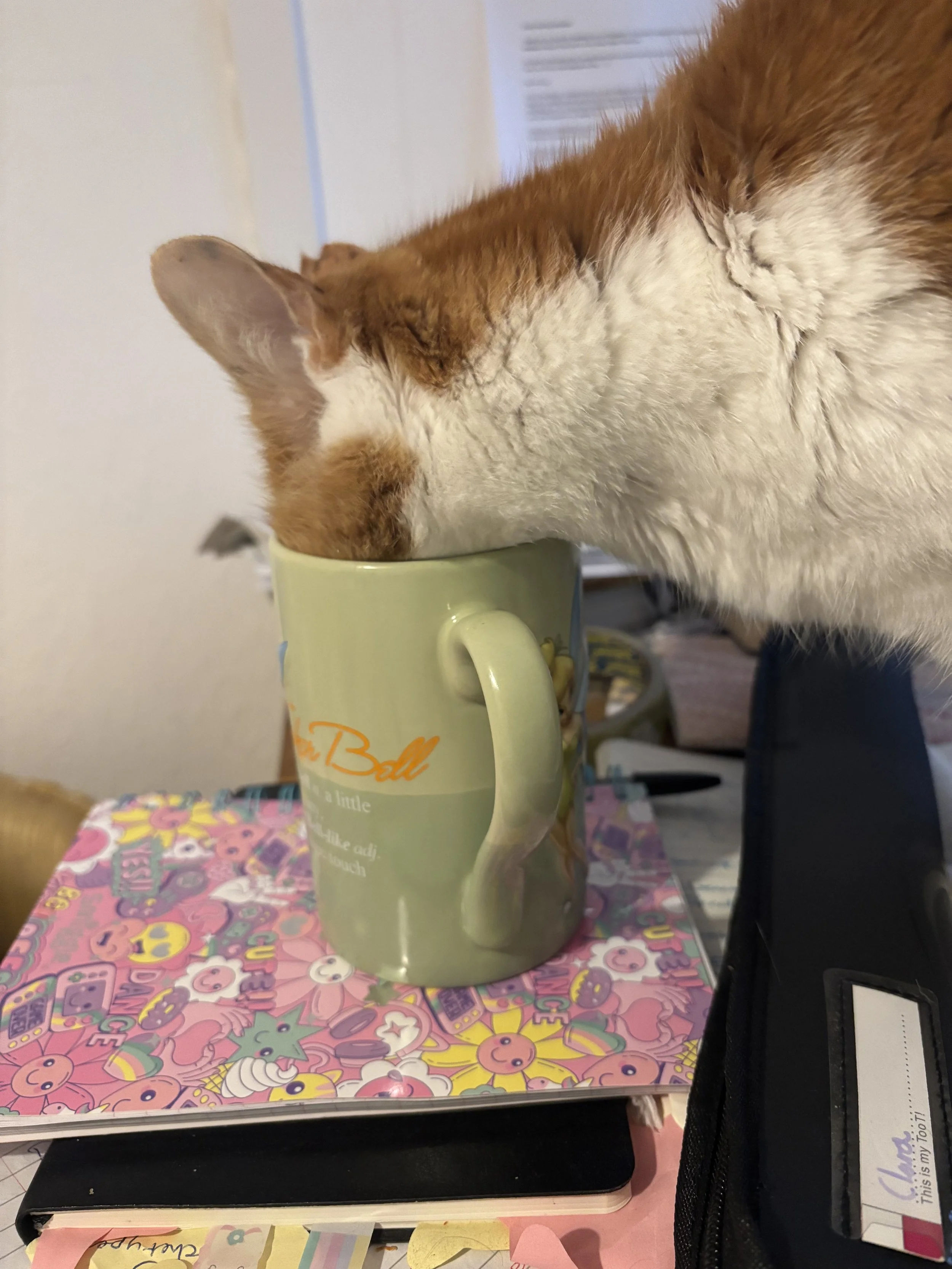 Ginger drinking out of my mug
