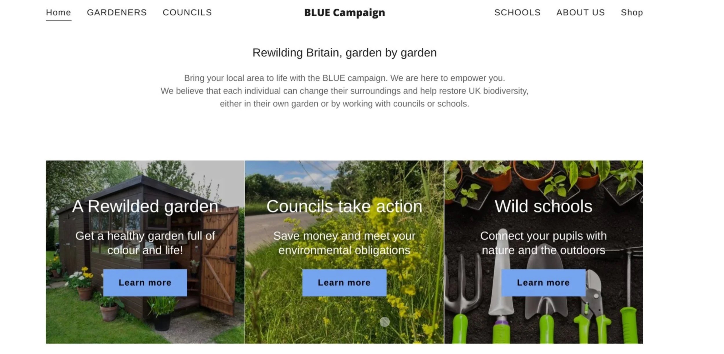 A screengrab from a website home page I wrote