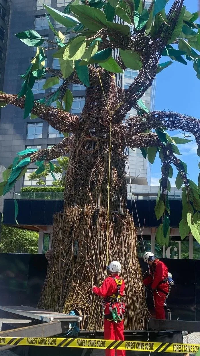 MoneyTree - GreenPeace