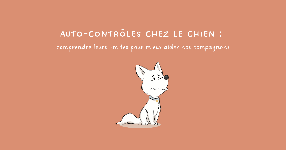 Auto-contrôles chez le chien : comprendre leurs limites pour mieux aider nos compagnons