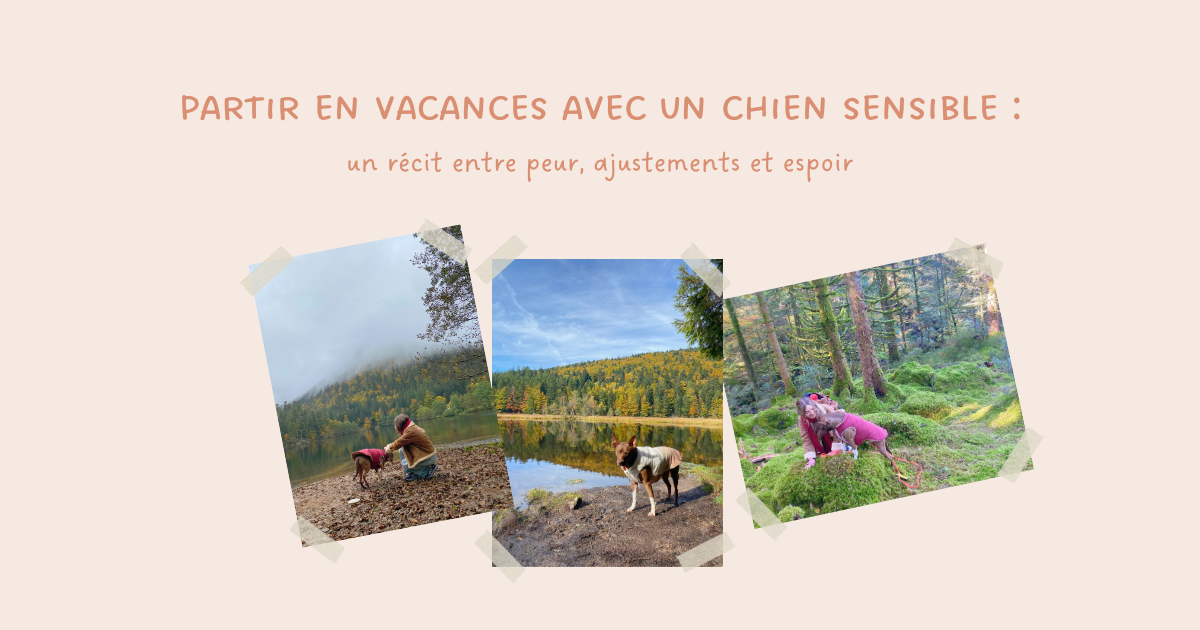 Partir en vacances avec un chien sensible : un récit entre doutes ajustements et espoir