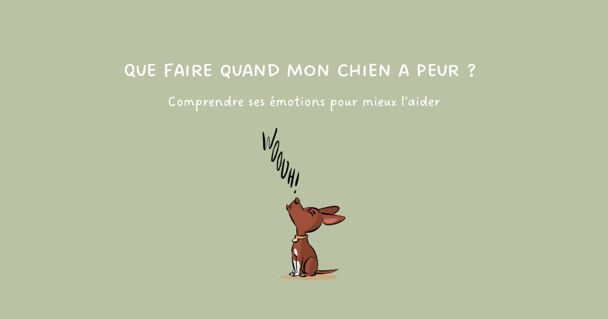 Que faire quand mon chien a peur ? Comprendre ses émotions pour mieux l’aider