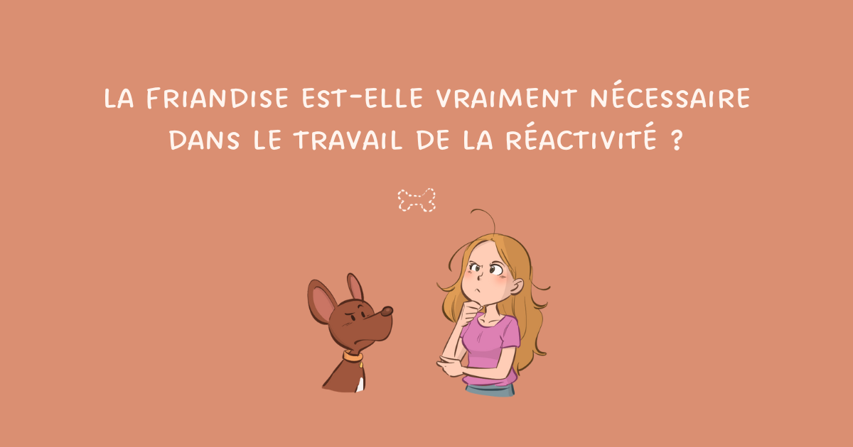 Chien réactif : la friandise est-elle vraiment nécessaire dans le travail de la réactivité ?