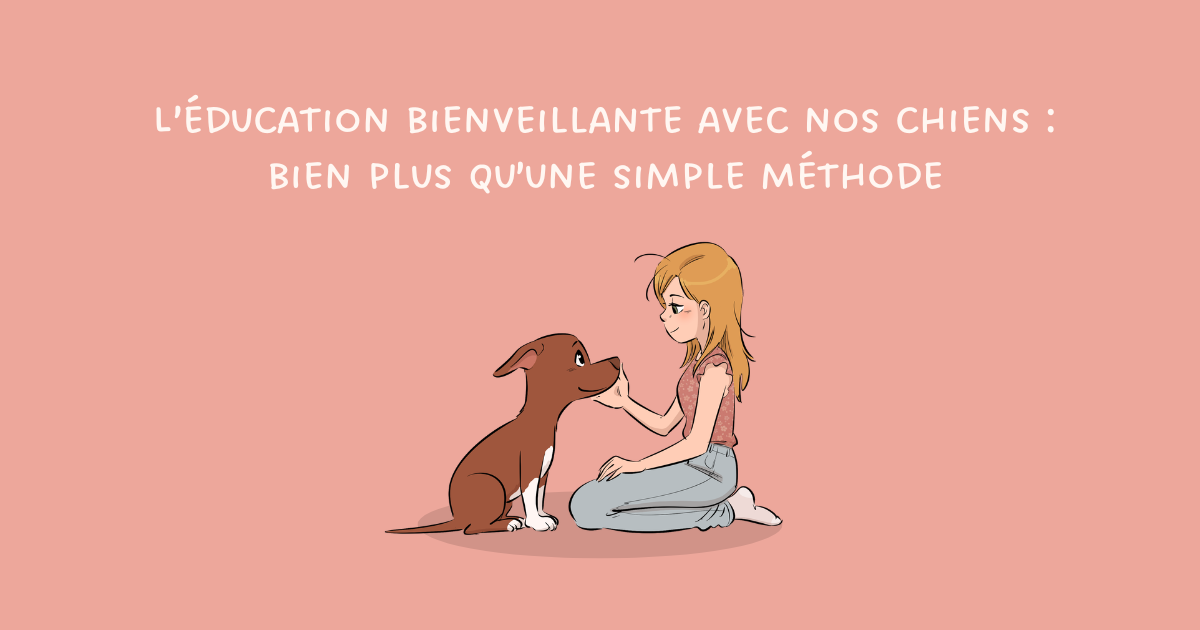 L’éducation bienveillante avec nos chiens : bien plus qu’une simple méthode