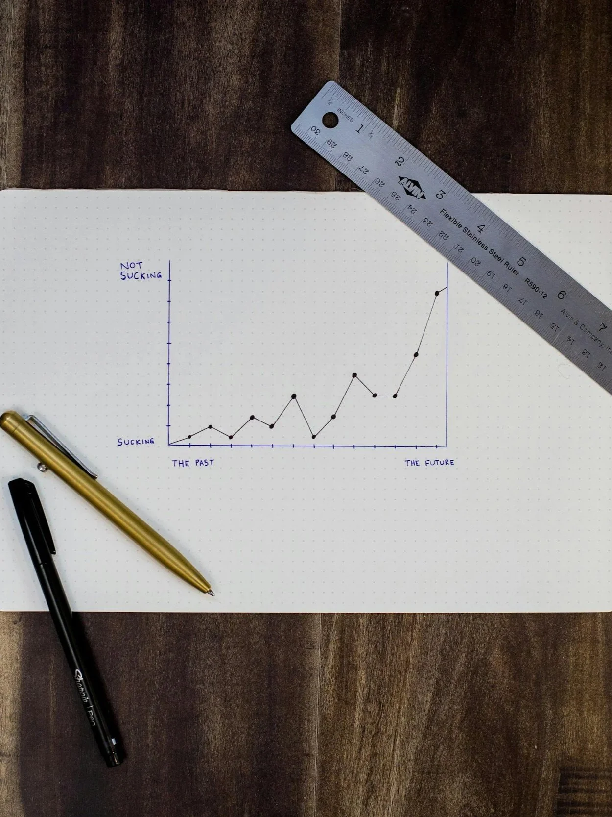 Un graphique pour tracer l'évolution d'un chien dans le cadre d'un accompagnement comportemental
