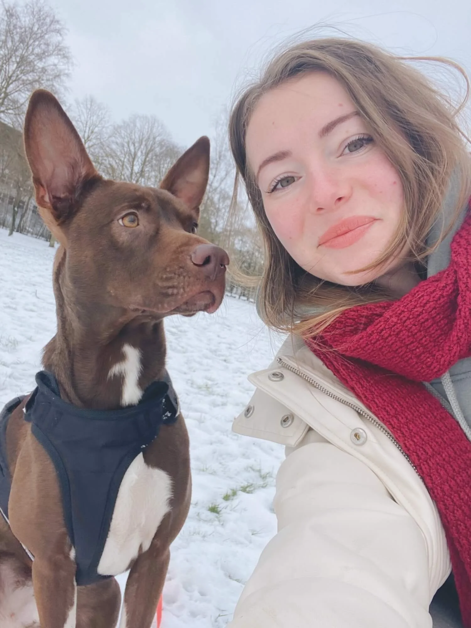 Manon Hénaux, comportementaliste canin avec son chien, qui se promènent dans la neige