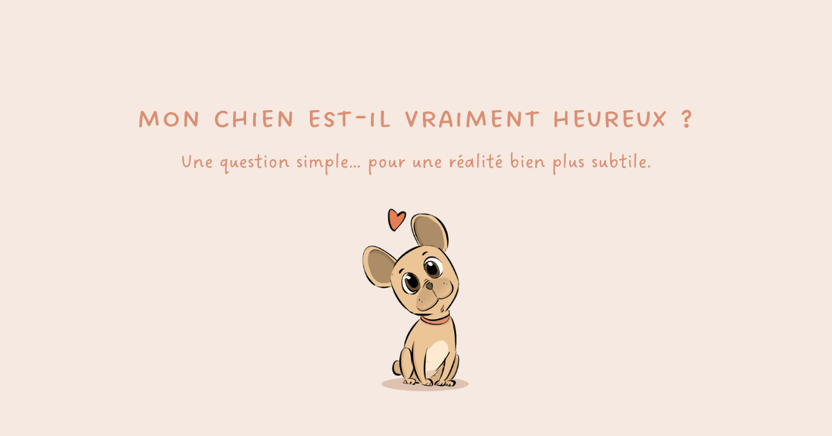 Comment savoir si mon chien est heureux ? Comprendre son bien-être en profondeur