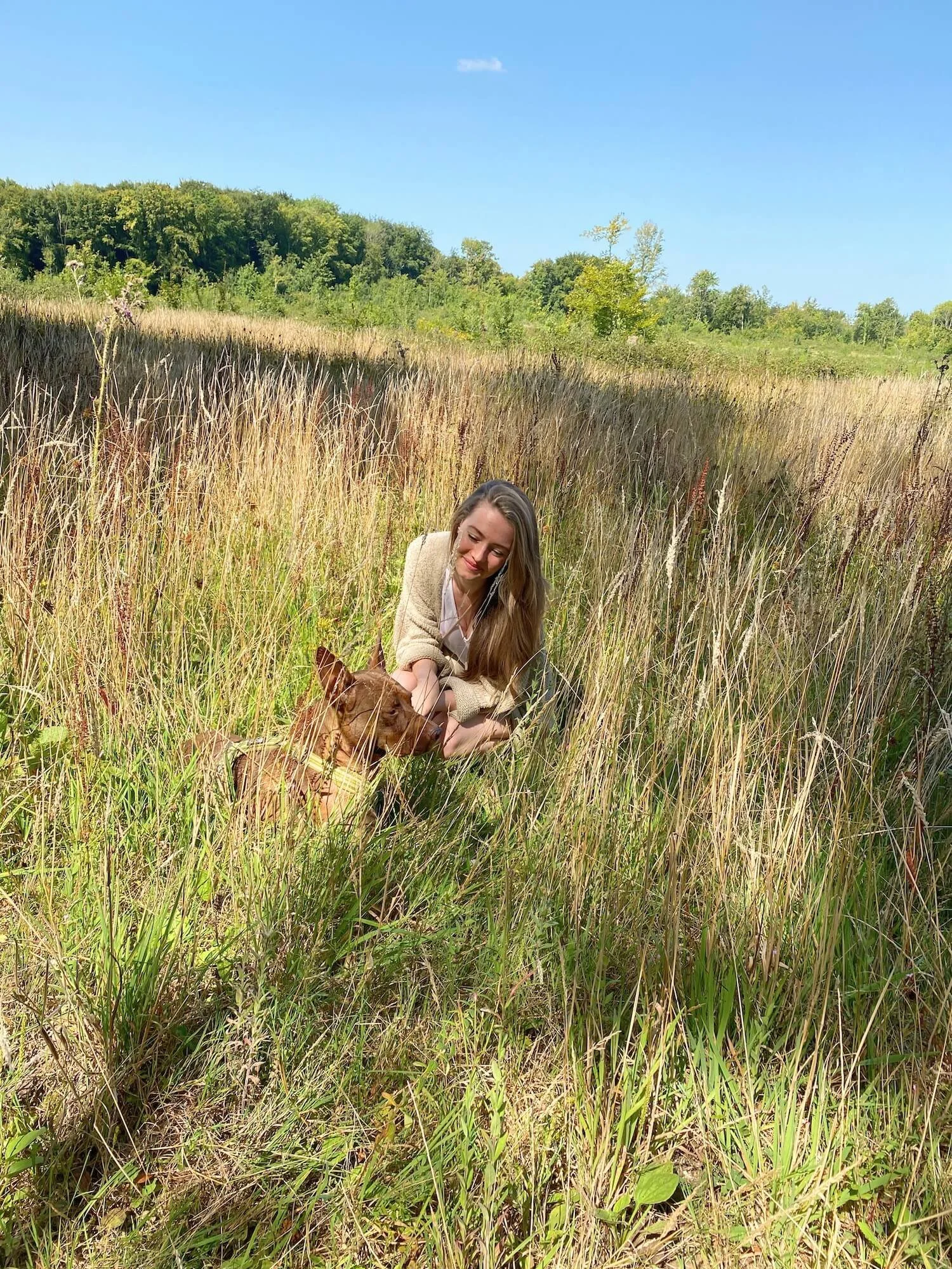 Manon Hénaux, comportementaliste canin, assise dans un champs avec un chien, ils sont apaisés