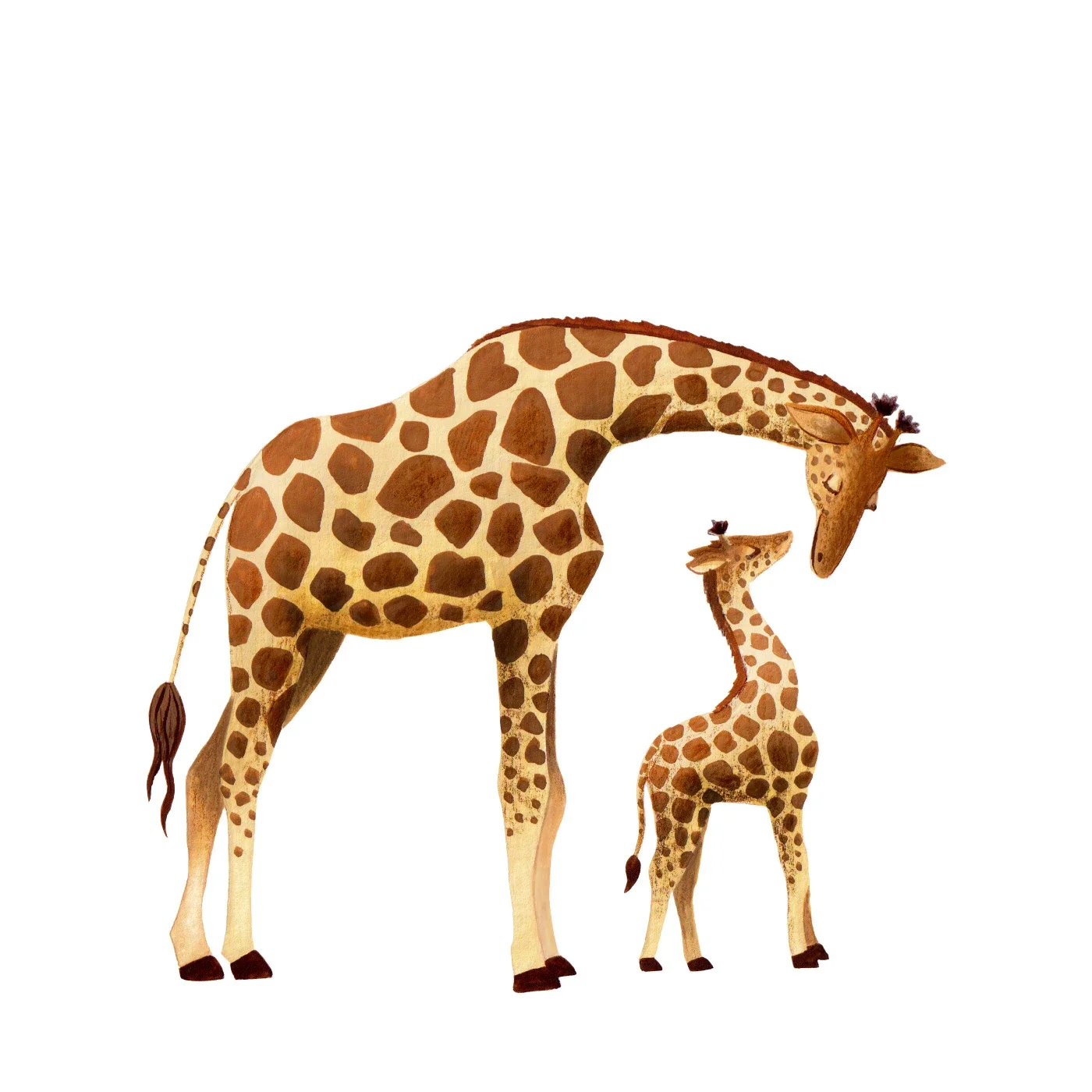 Safari