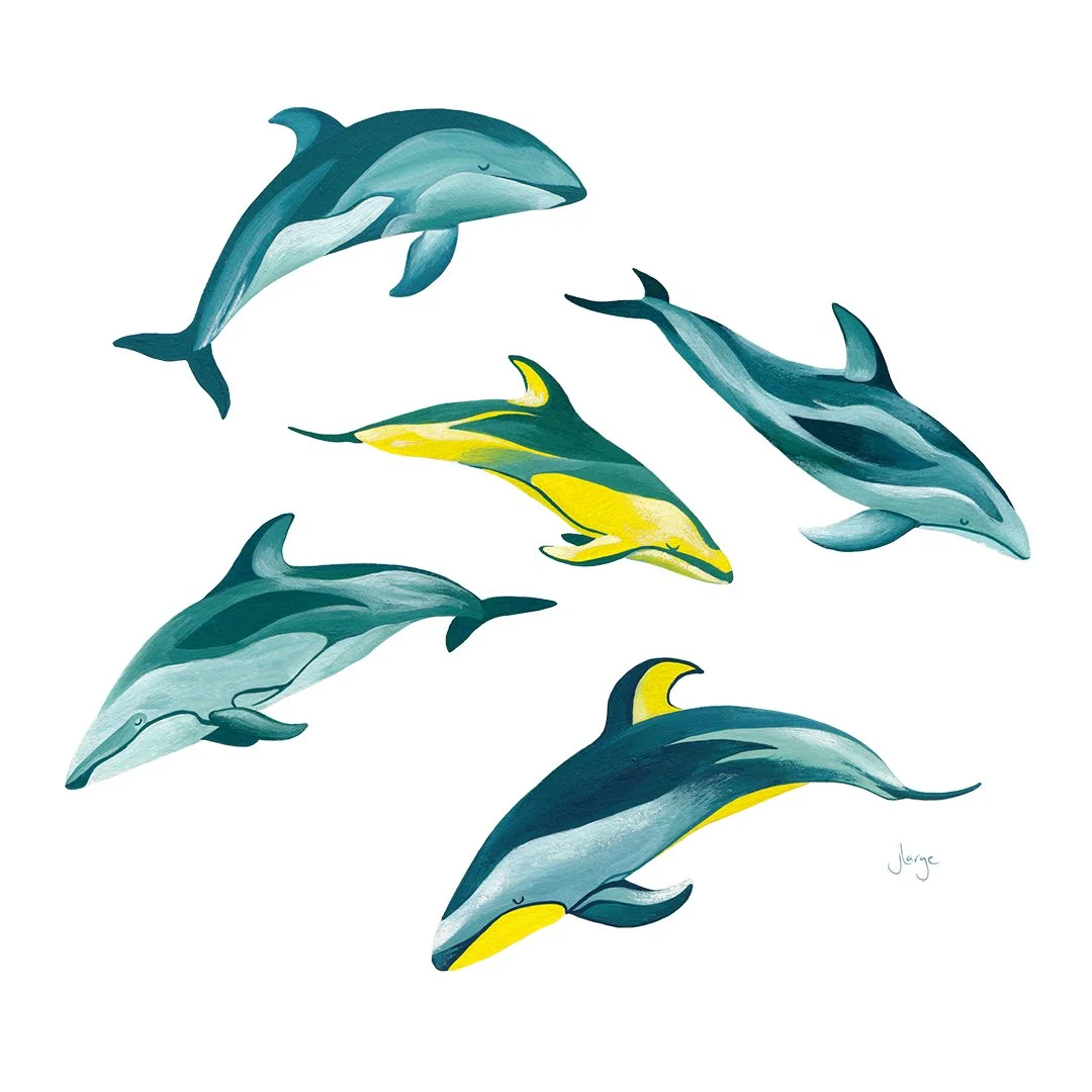 Dolphins