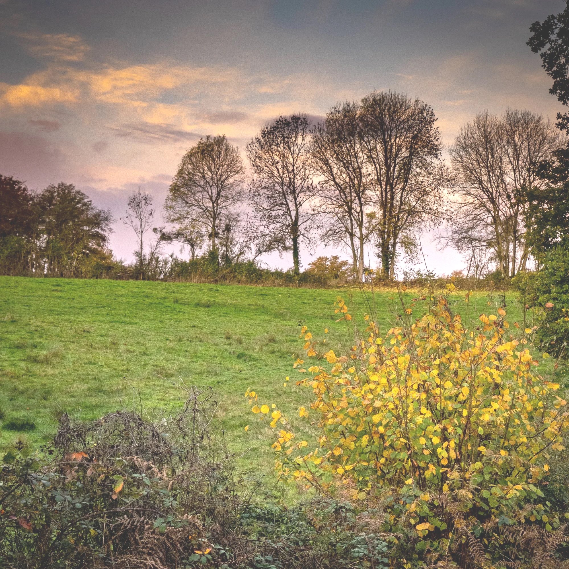 Reclaim Radiance Retreat with Adele Muller                                    2500 Euros