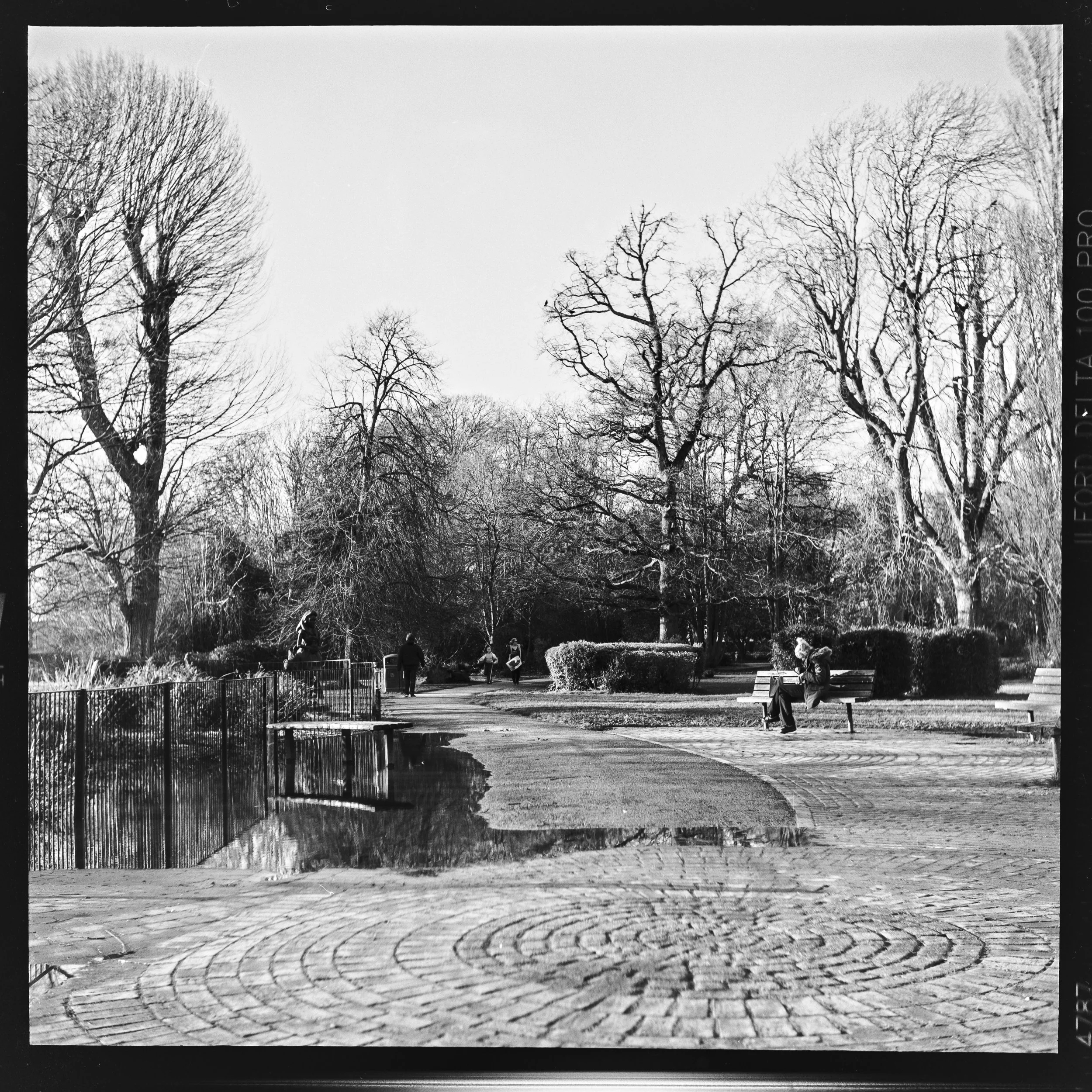 06-02-26-11.jpg
