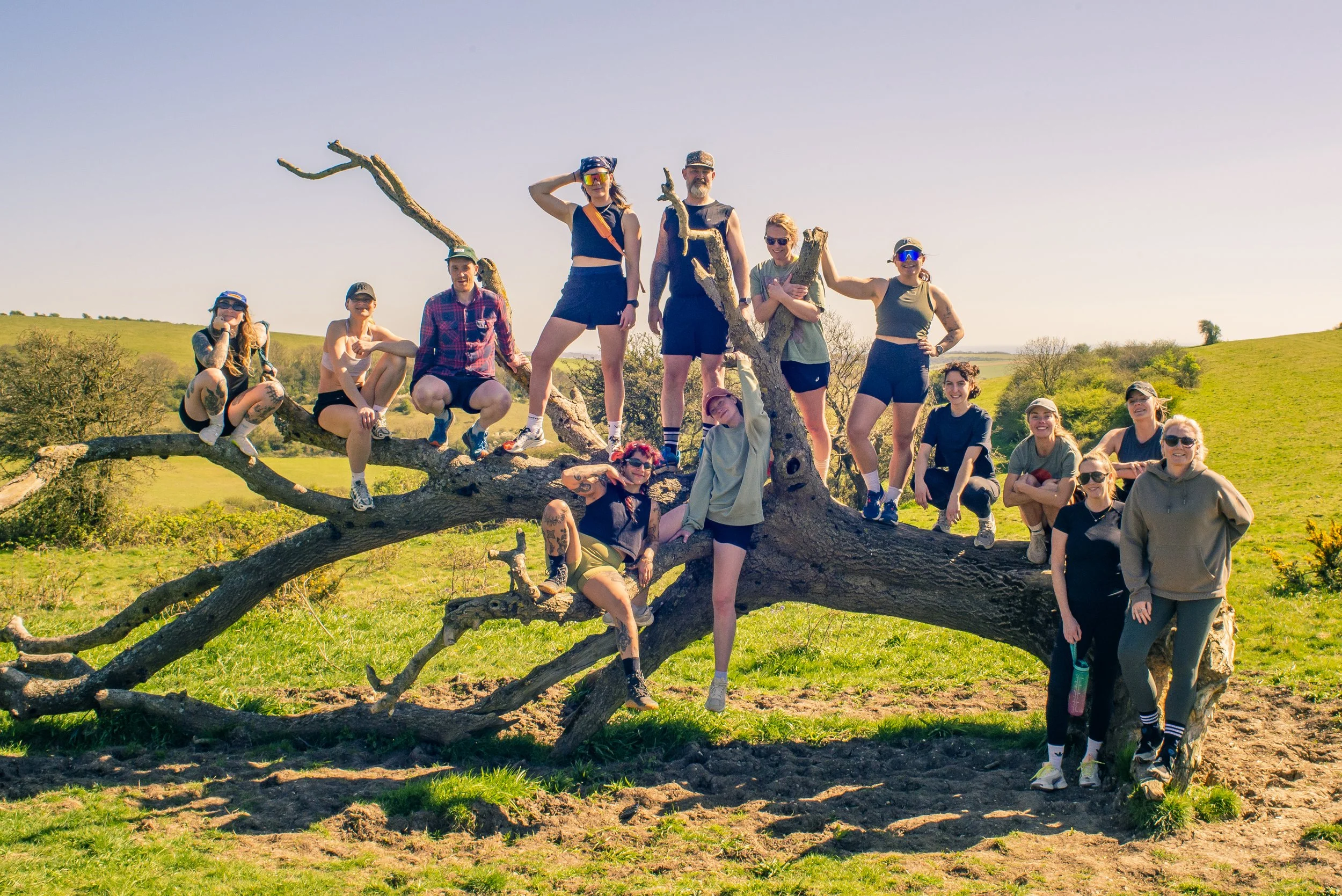 Group of people posing on a large fallen tree in a grassy field under a clear sky. They are smiling, some seated, some standing, and others sitting on the branches, dressed casually for outdoor activity.