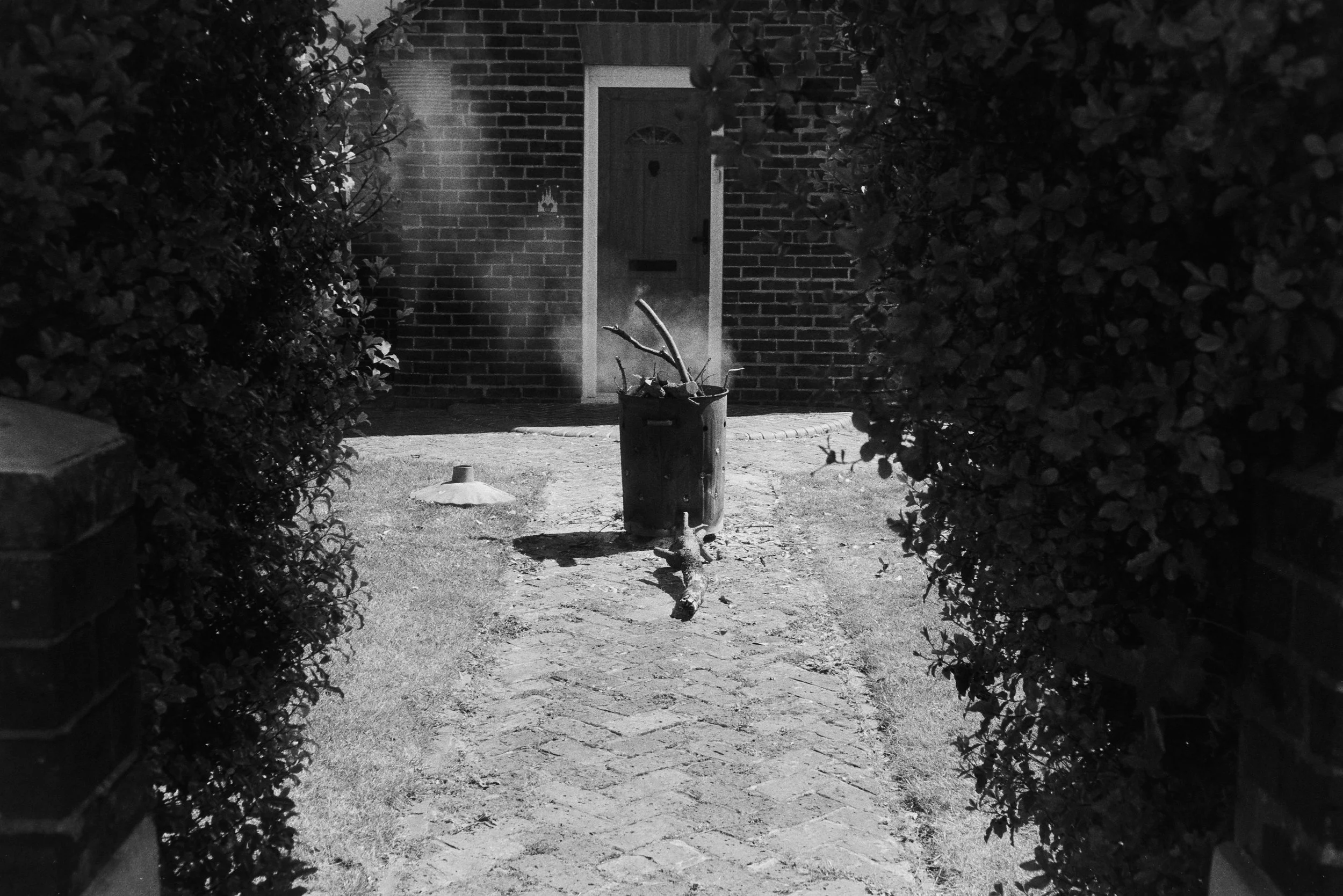 Pro-Capture One 0321.jpg