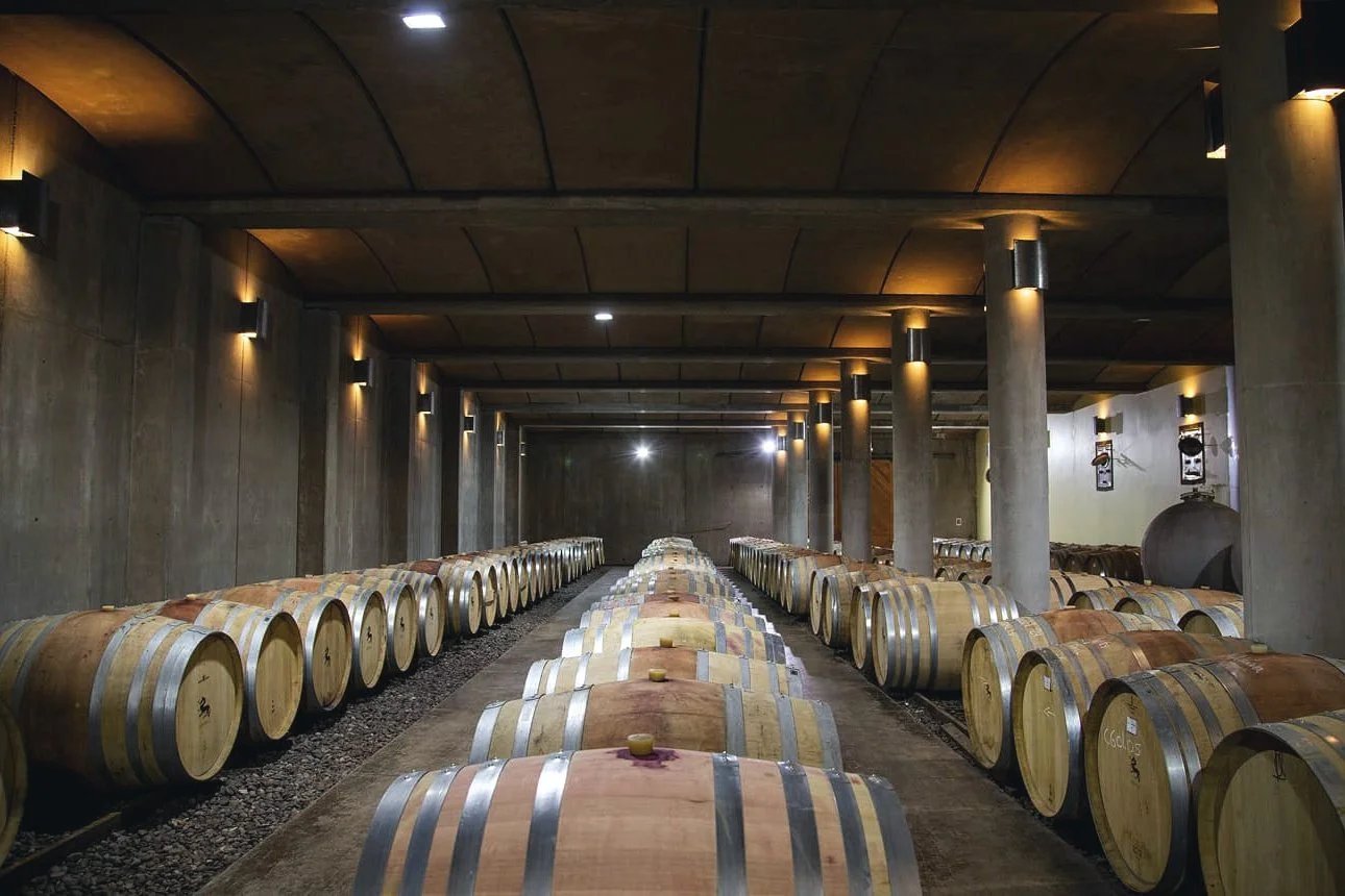 A wine cellar with wooden barrels arranged in rows under a concrete ceiling and columns, illuminated by wall-mounted lights.