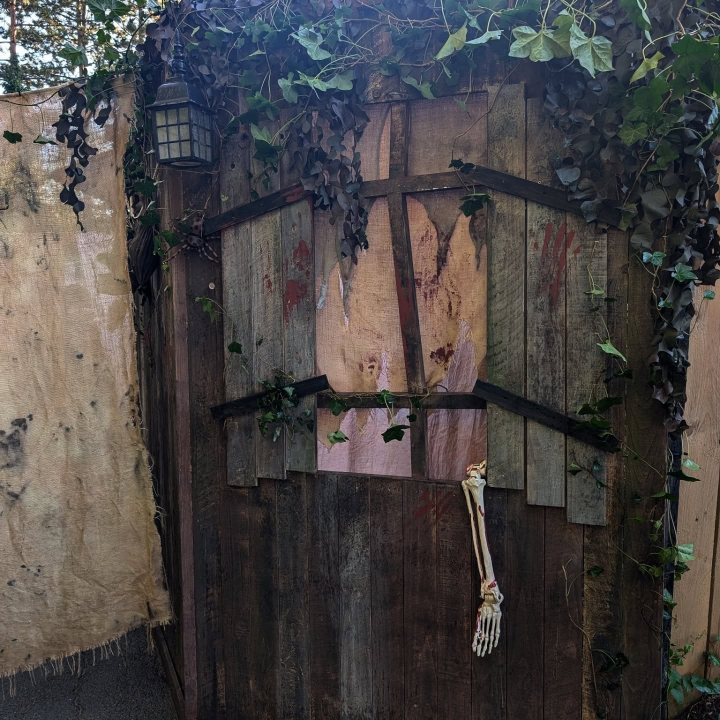 Beware the dog 🐕🐩

Halloween came early for us this year as we put together this spooky scare maze at  @chessingtonworldofadventures with our wonderful team!

Ten days onsite, rain, shine and a whole lot of bin diving 🤿 
Sourcing and up-cycling ma