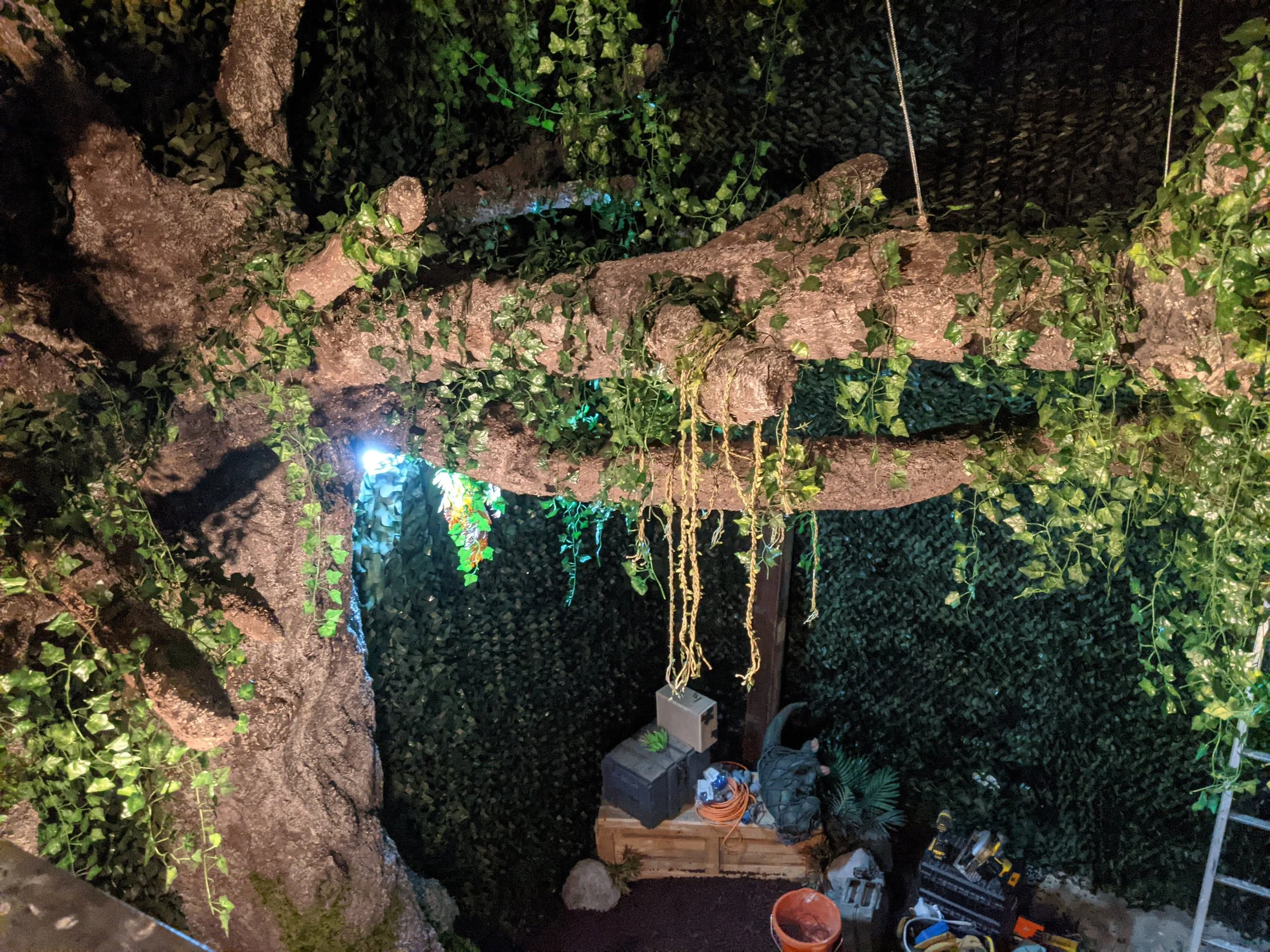 Tree Ariel.jpg