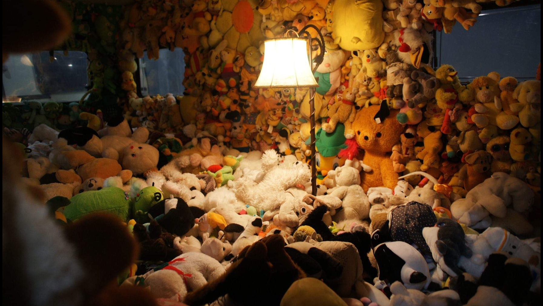 lots of teddies.png